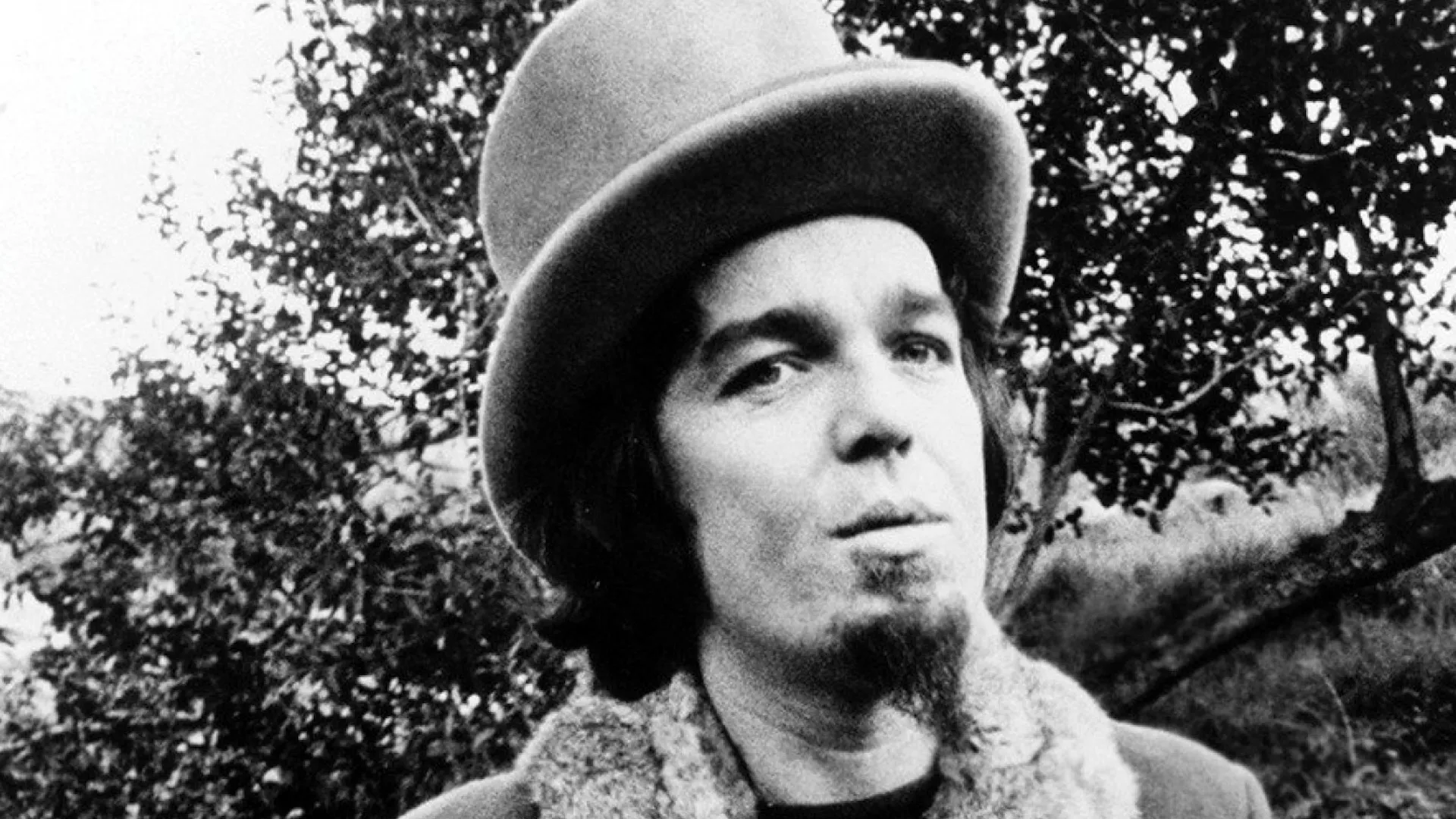 Captain Beefheart - Under Review