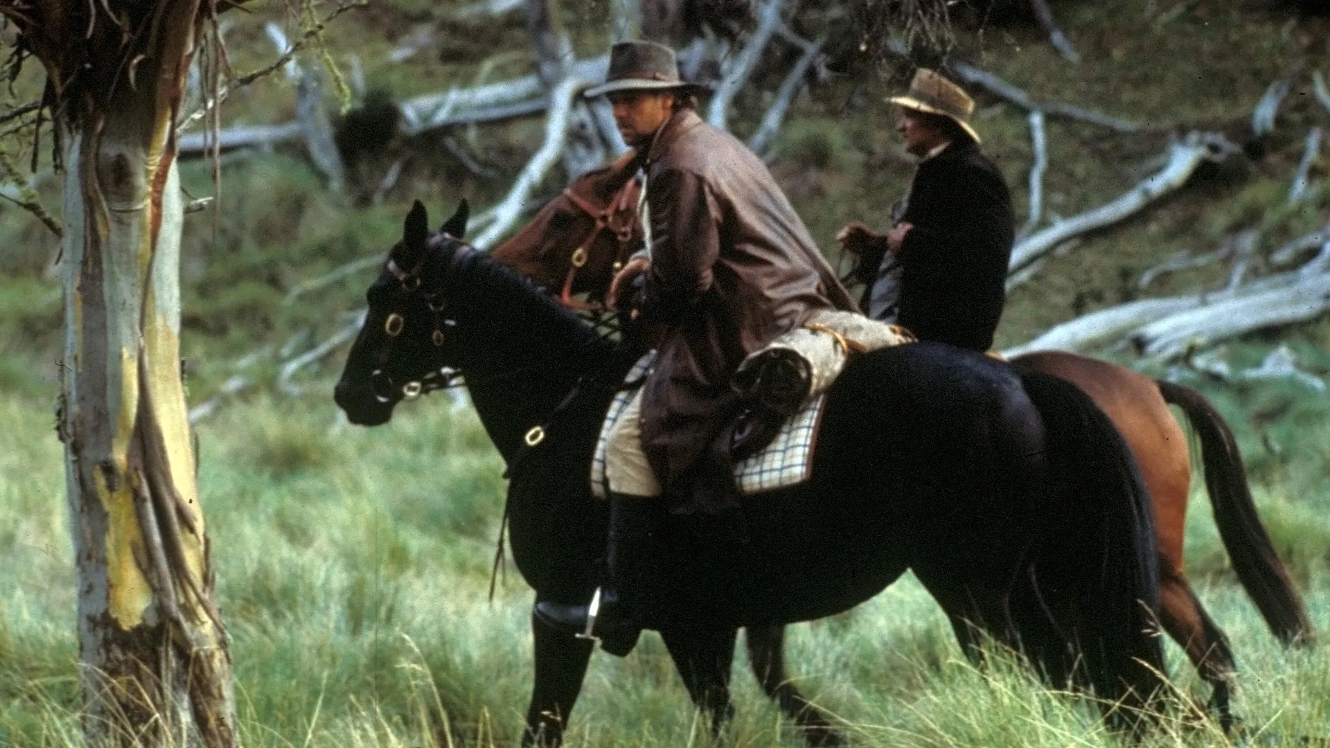 The Silver Brumby