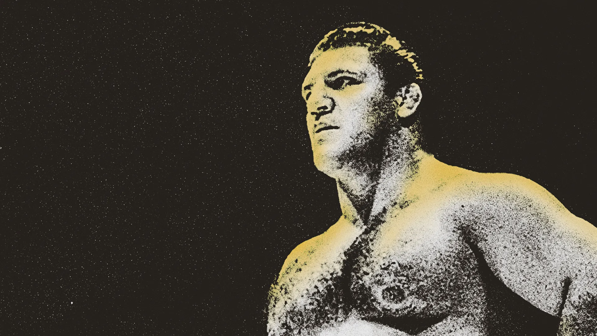 Bruno Sammartino