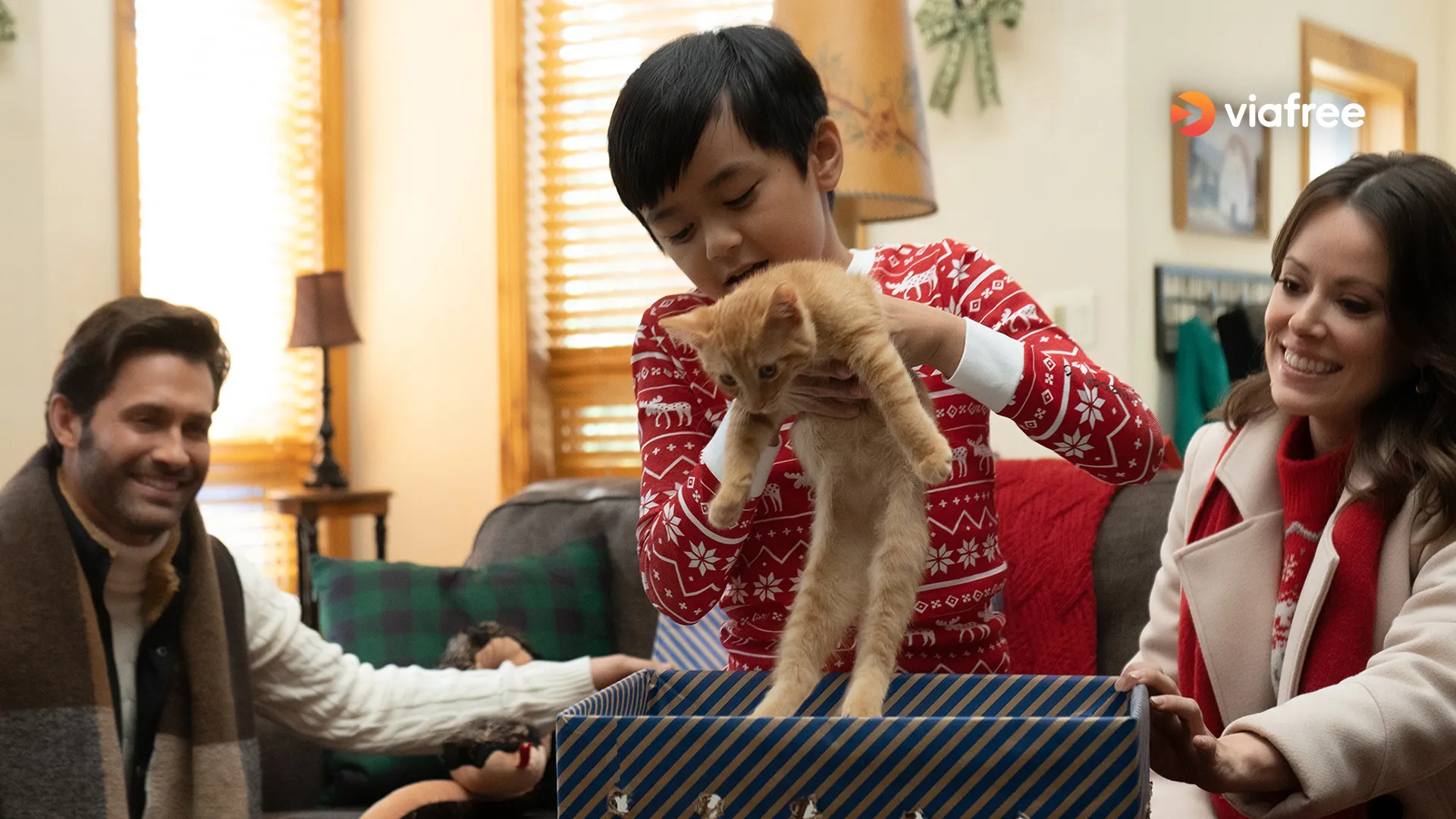 A Furry Little Christmas