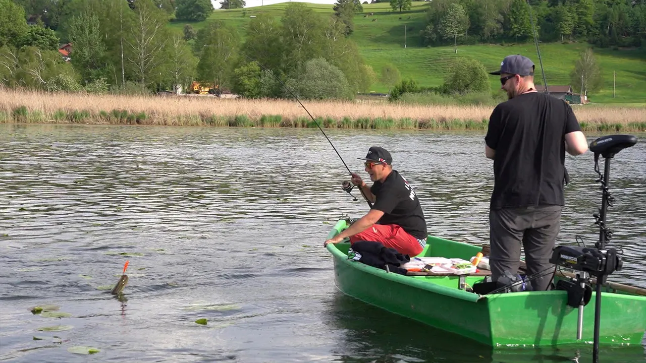 Topwater Soft- vs. Hardbait