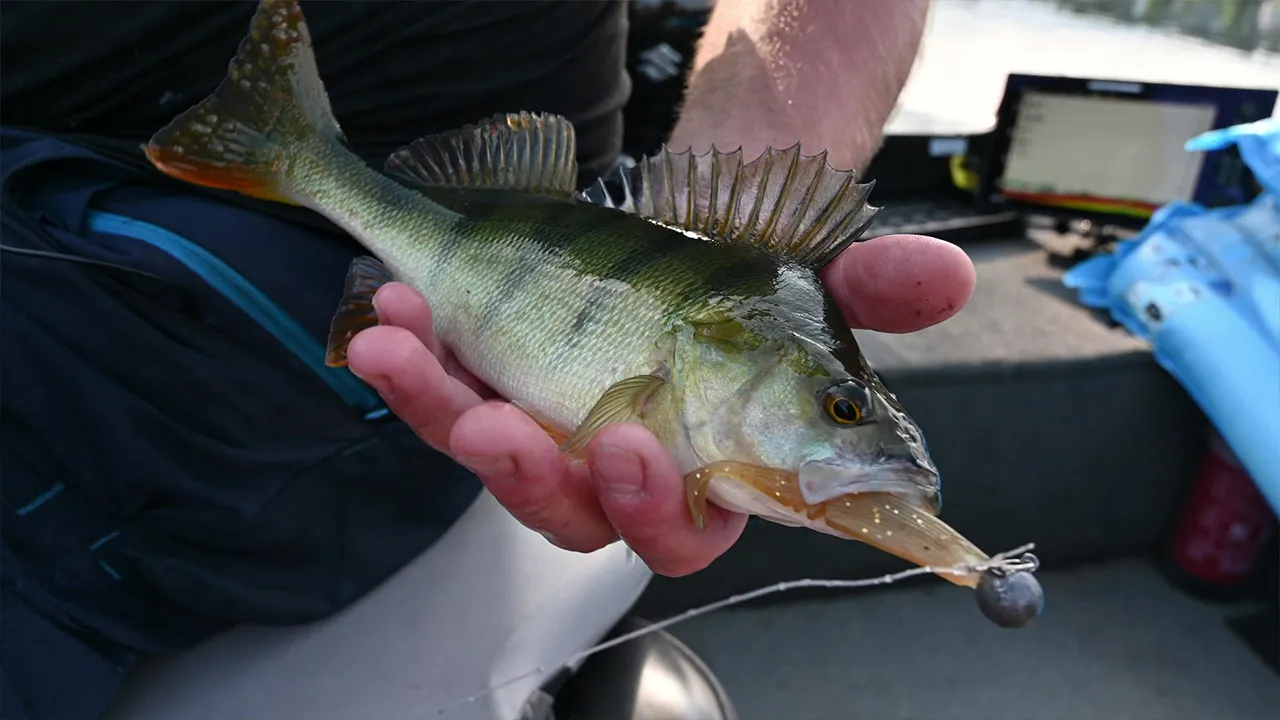 Gib Gummi an der Talsperre