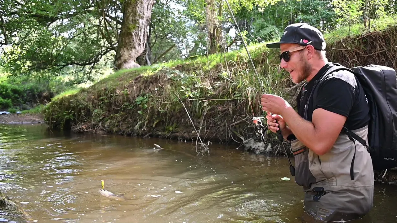 Fliegende Bachforellen im September – 12 Monate Topwater Challenge