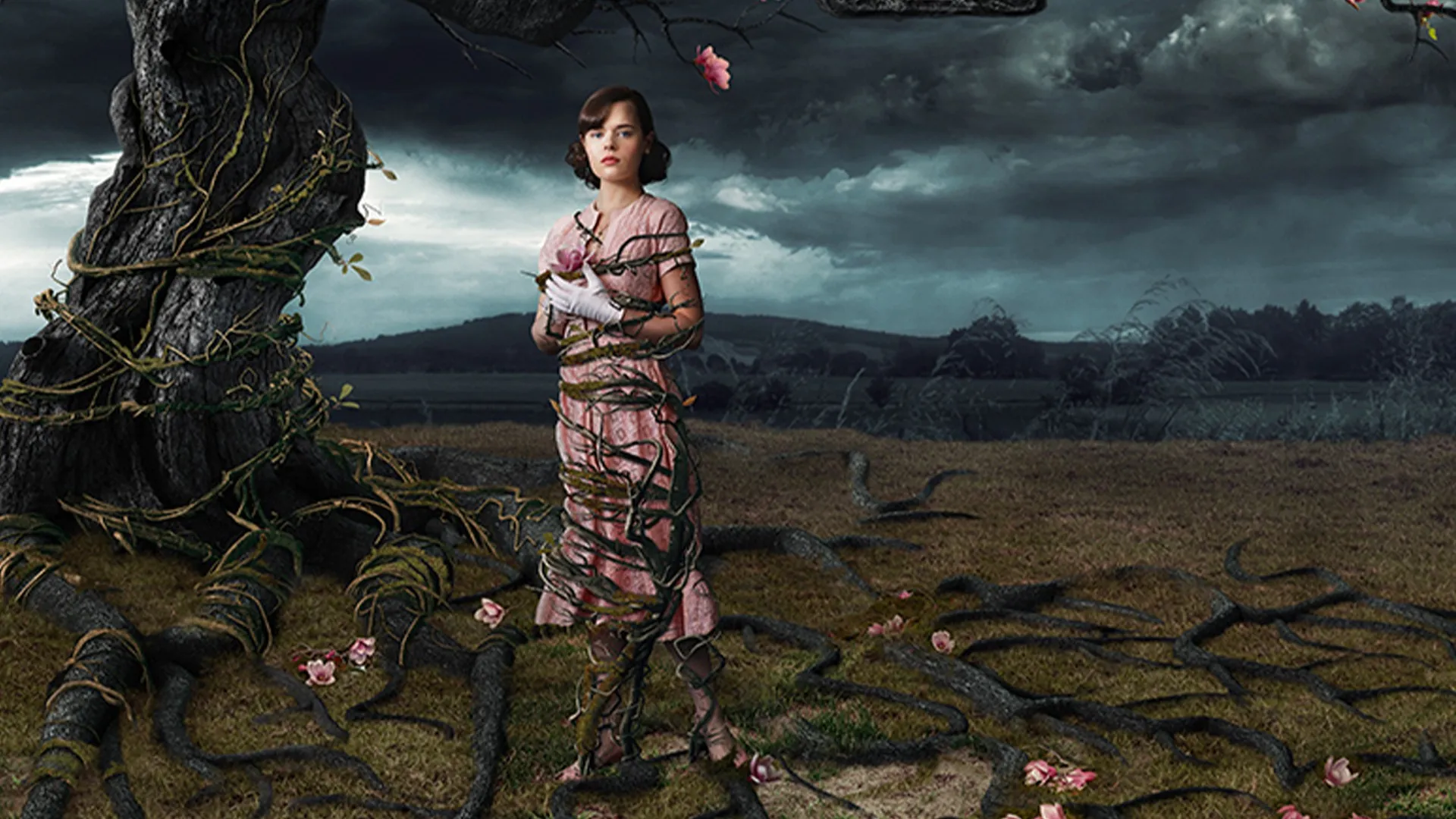 VC Andrews' Web of Dreams CA
