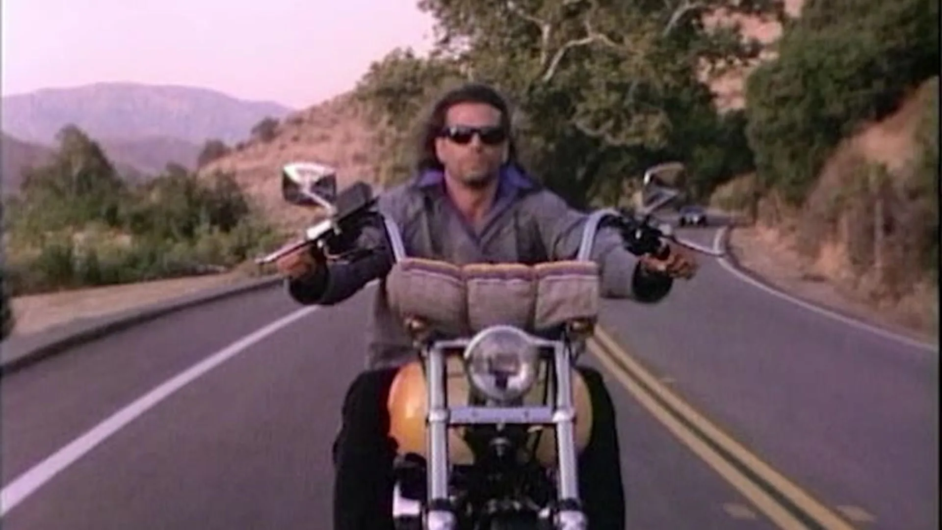 Renegade