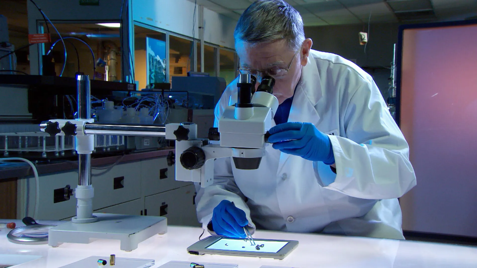 Forensic Factor