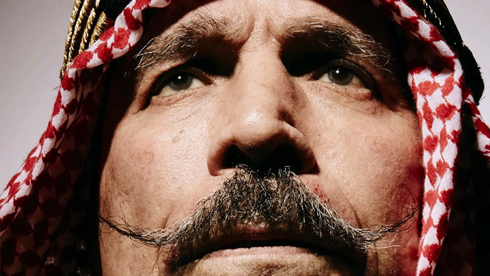 The Sheik