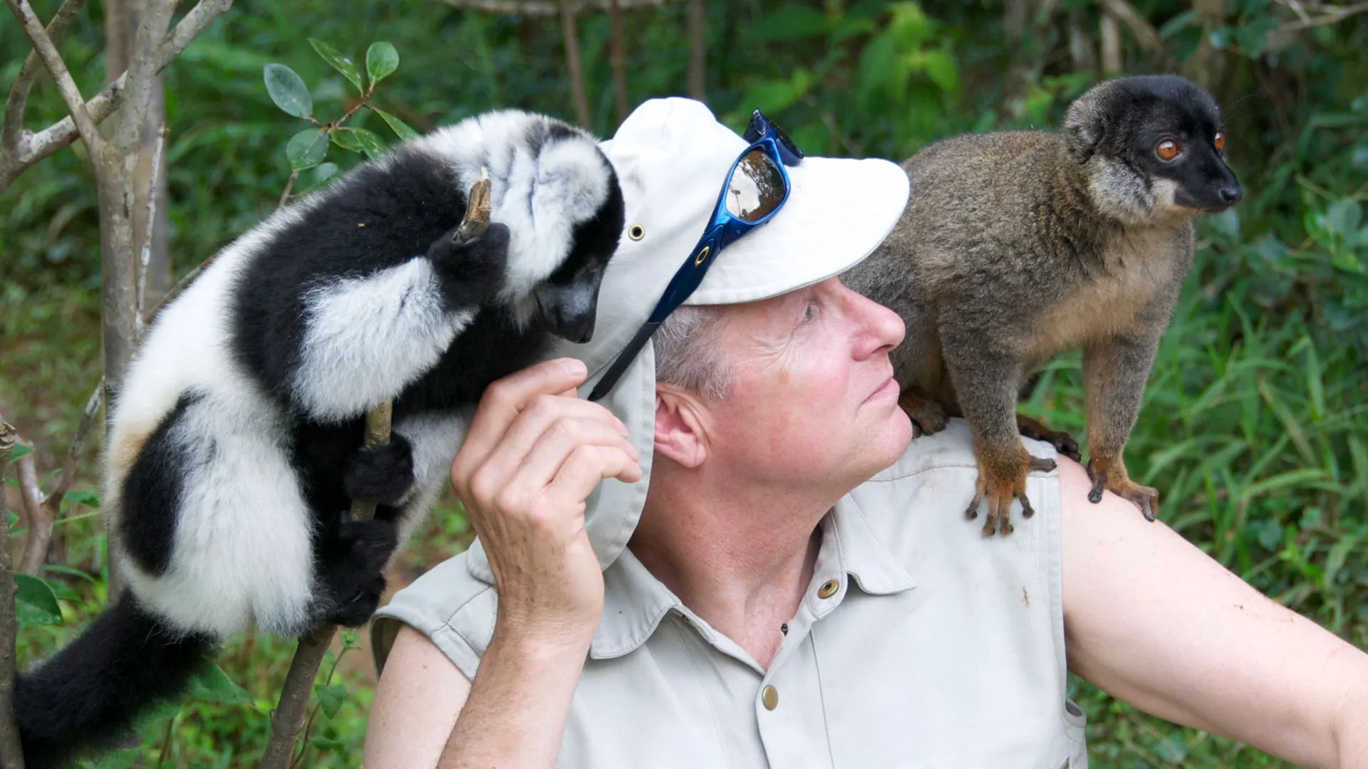 Going Wild With Brian Keating