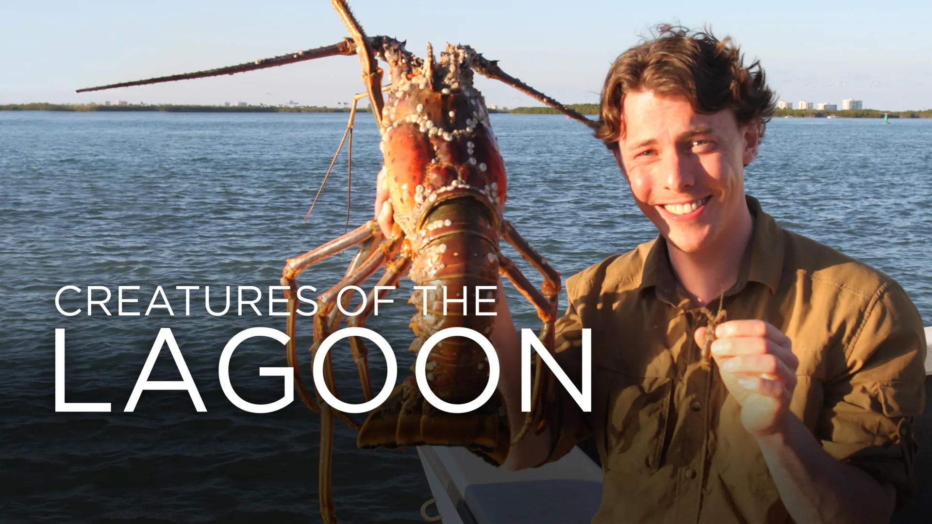 Creatures of the Lagoon