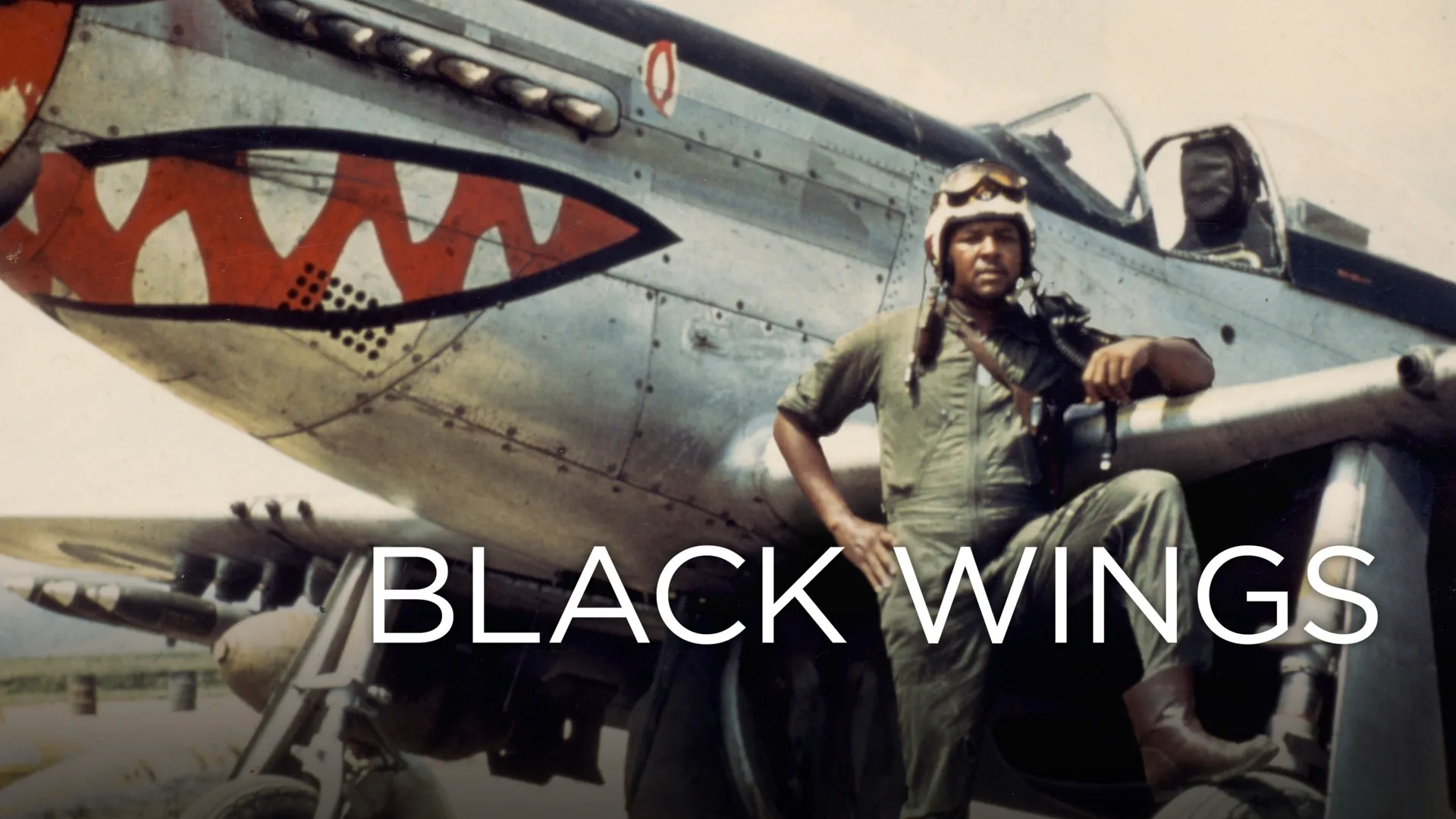 Black Wings