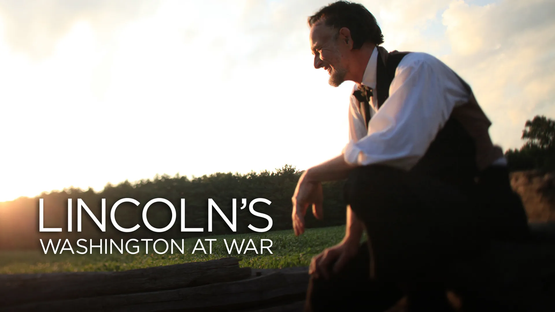 Lincoln's Washington at War