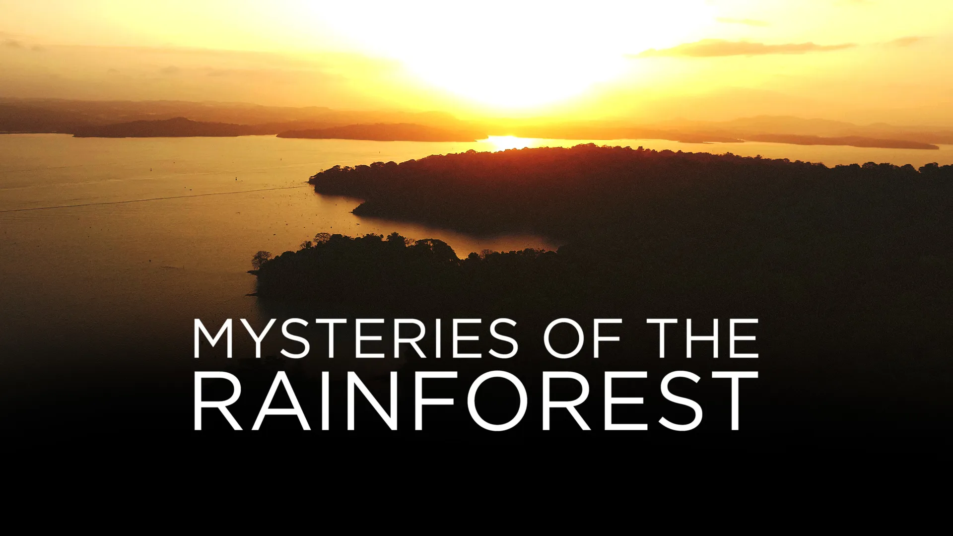 Mysteries of the Rainforest