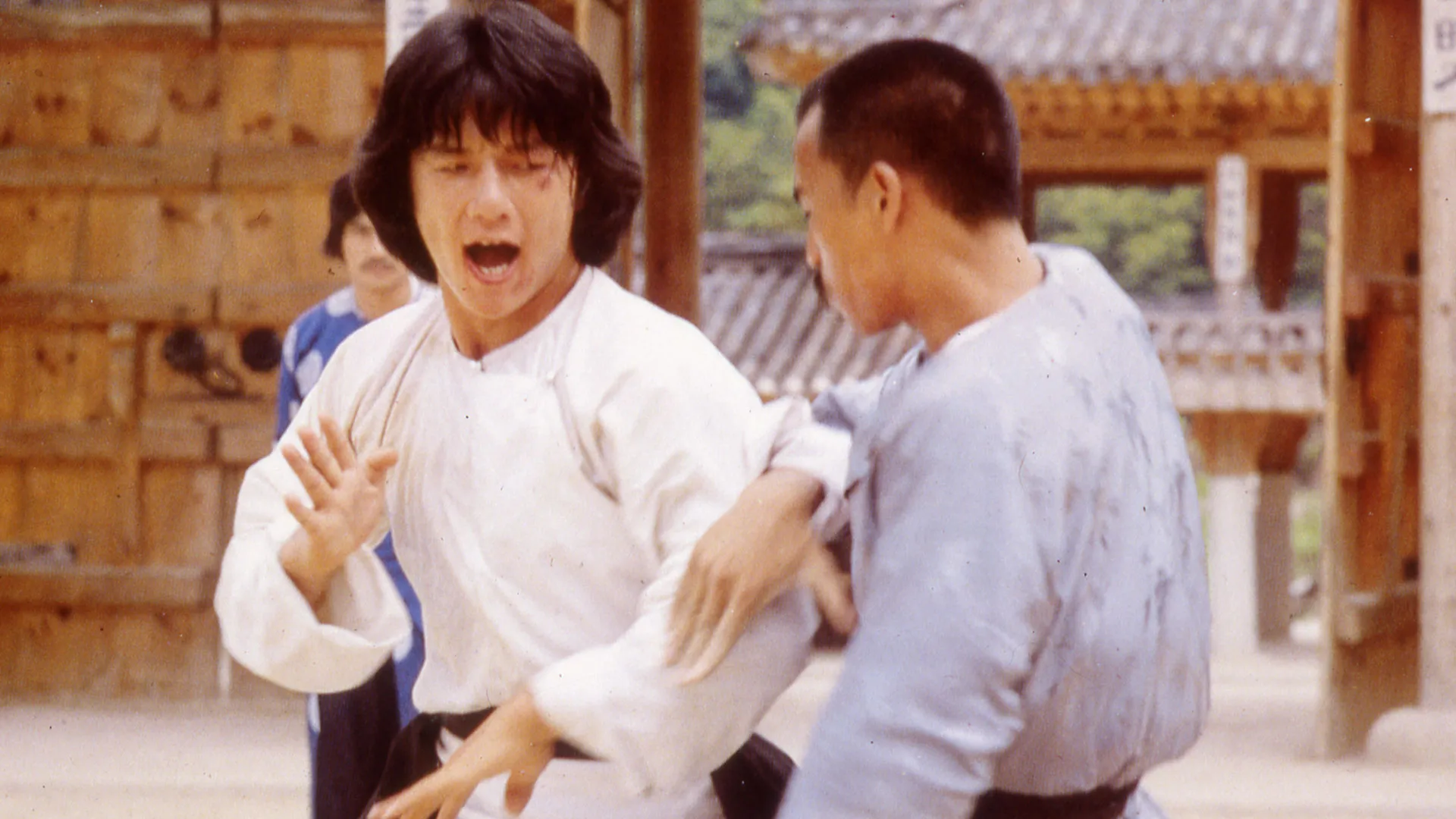 Dragon Fist