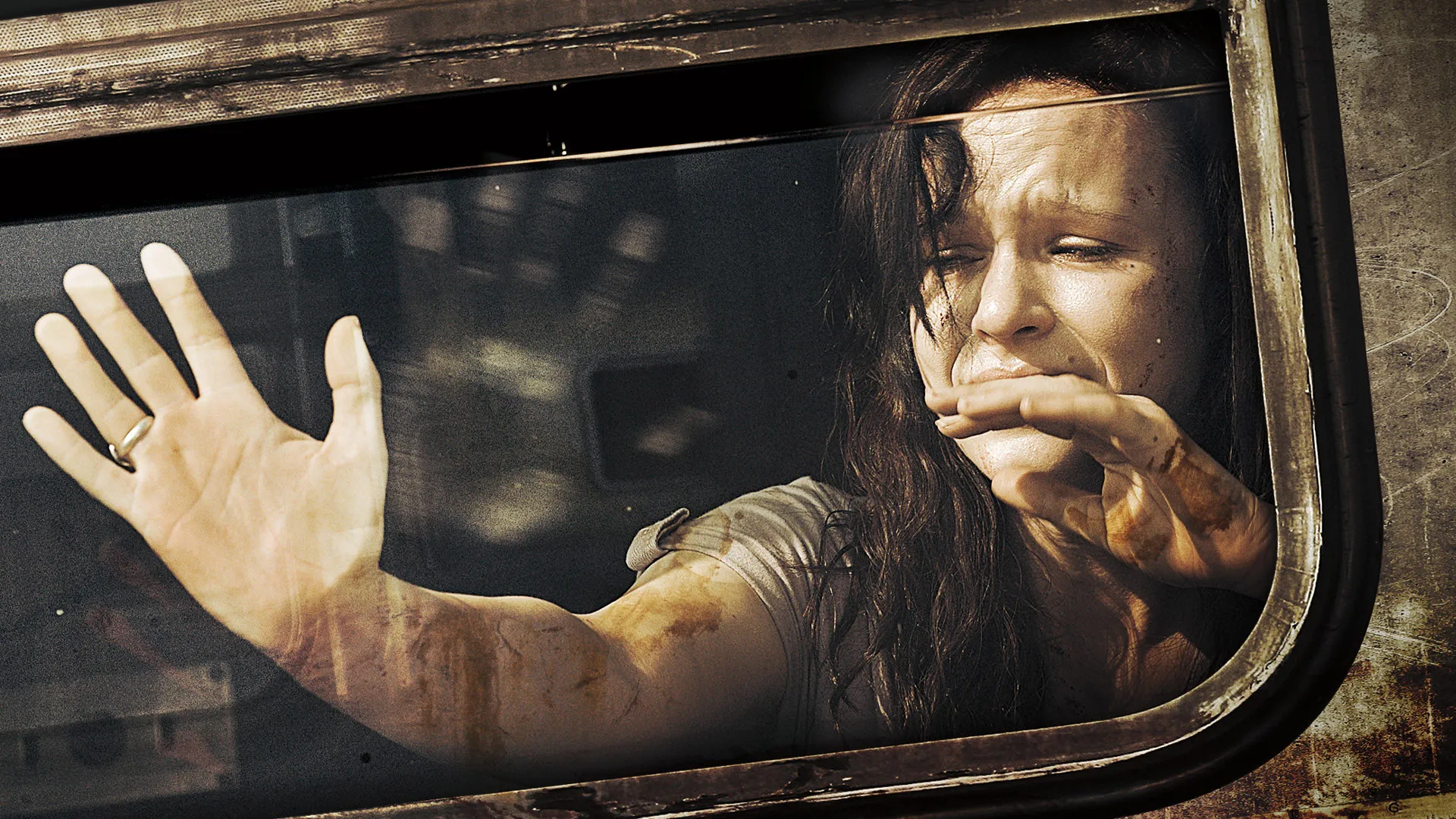 Train (2009)