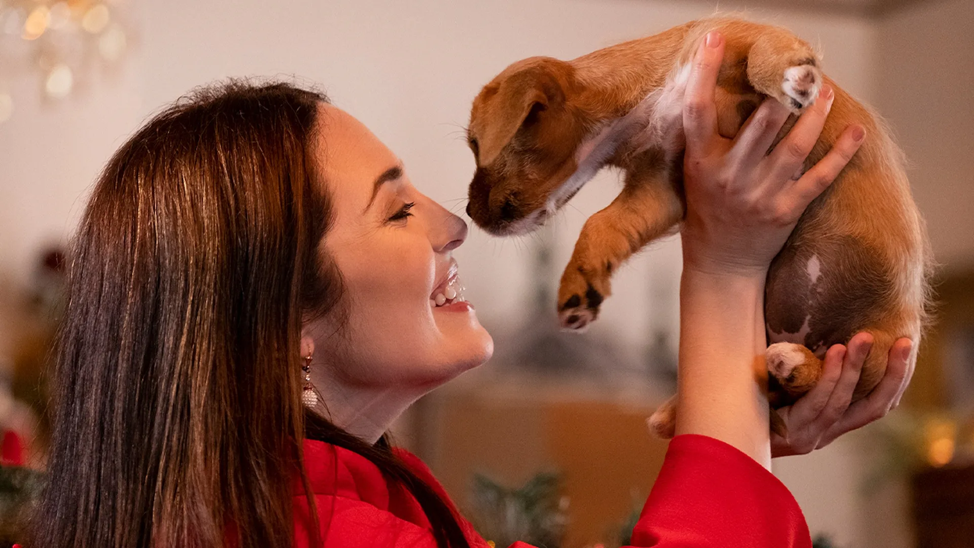 12 Pups of Christmas
