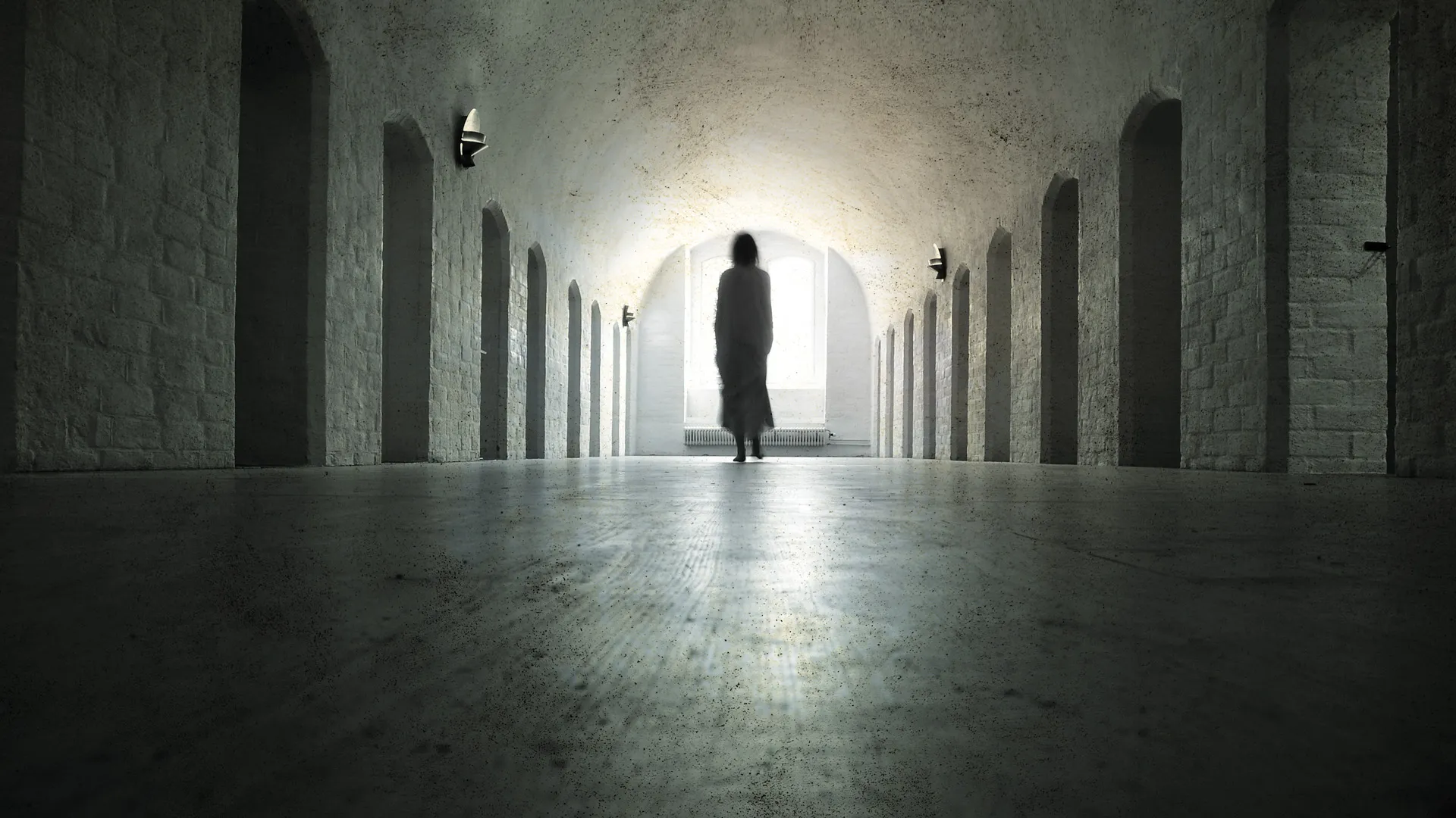 Paranormal Survivor