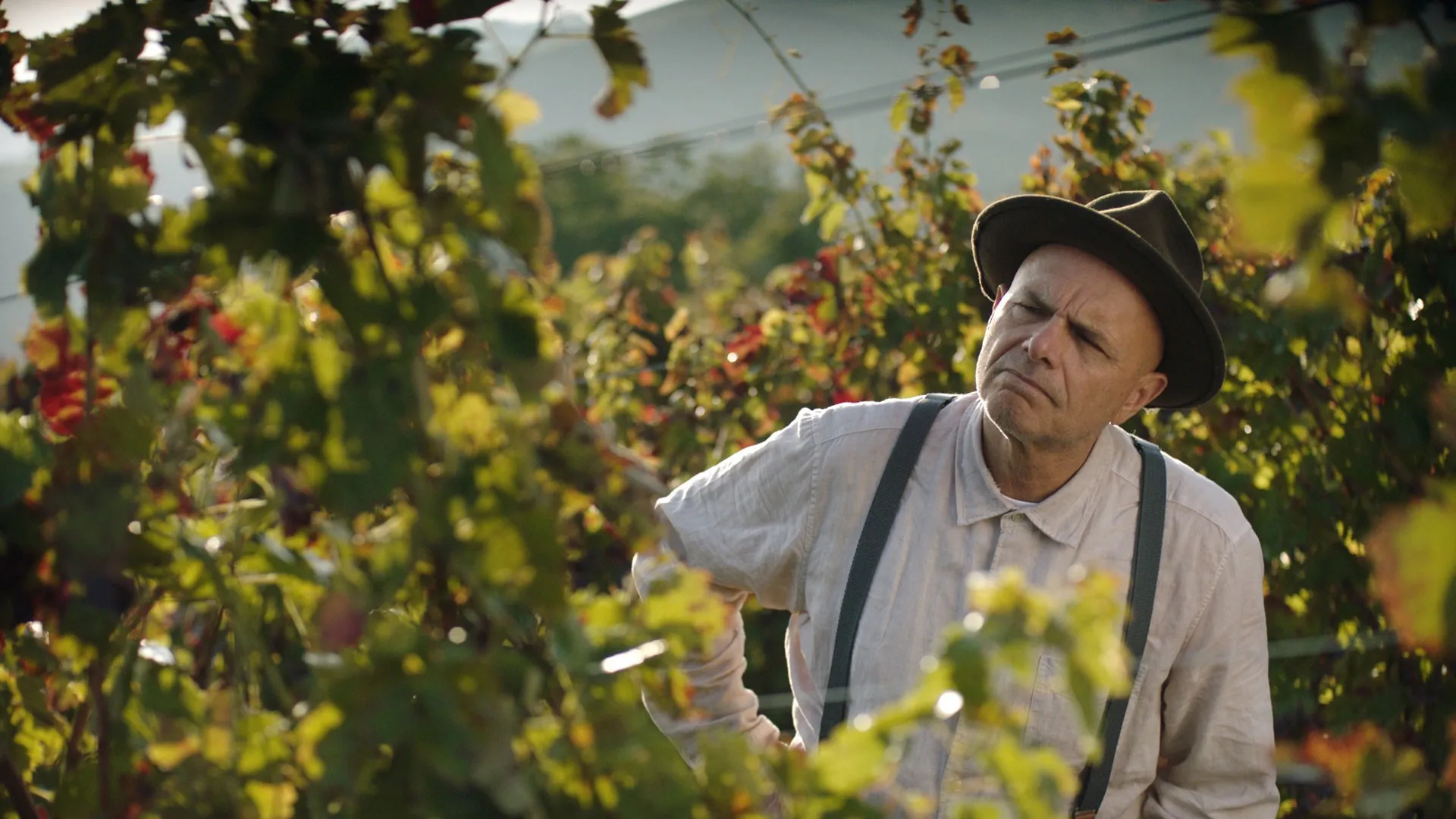 In vino veritas