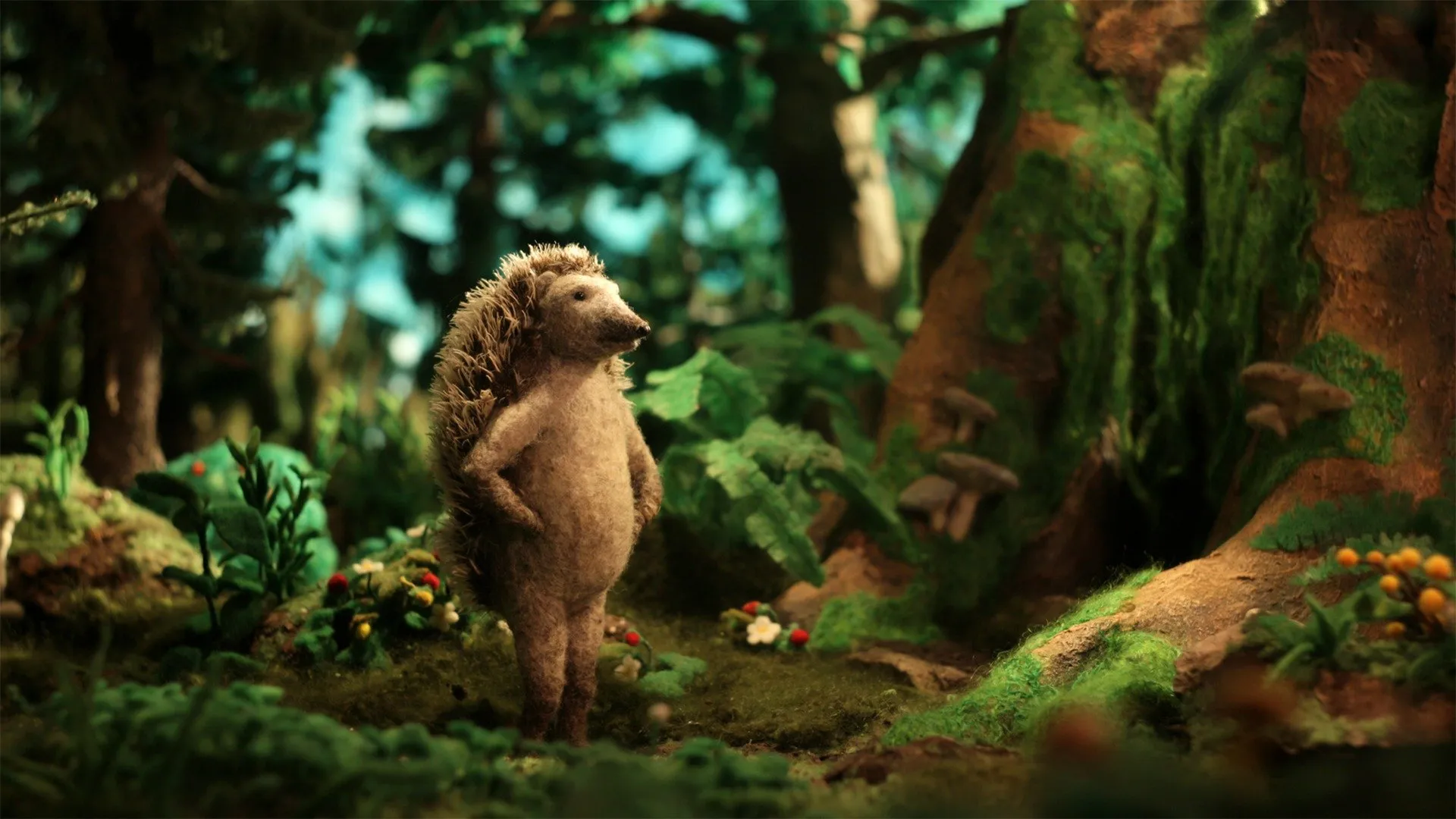 Hedgehog's Home CA