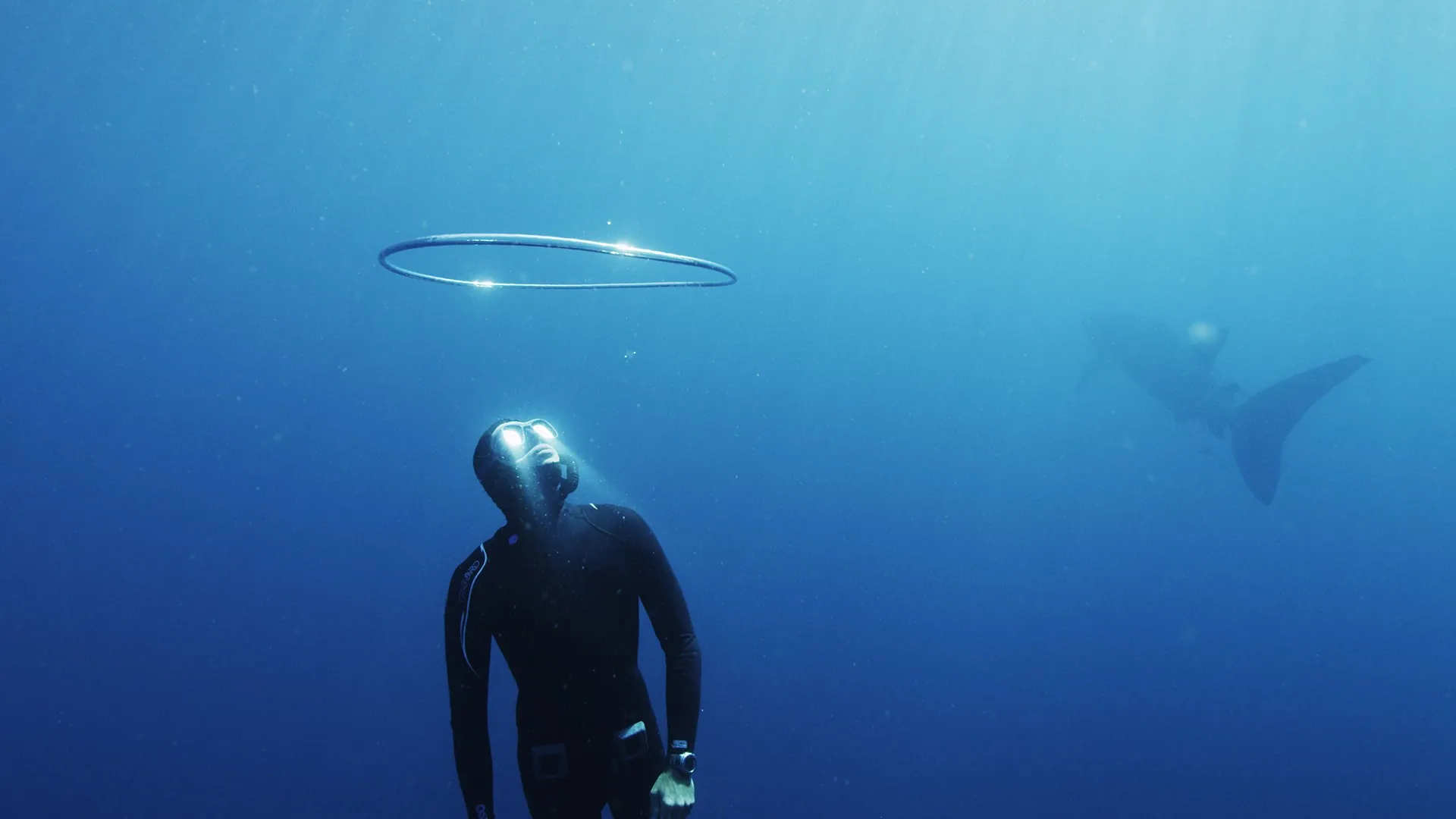 Odyssee Des Monstres Marins FR