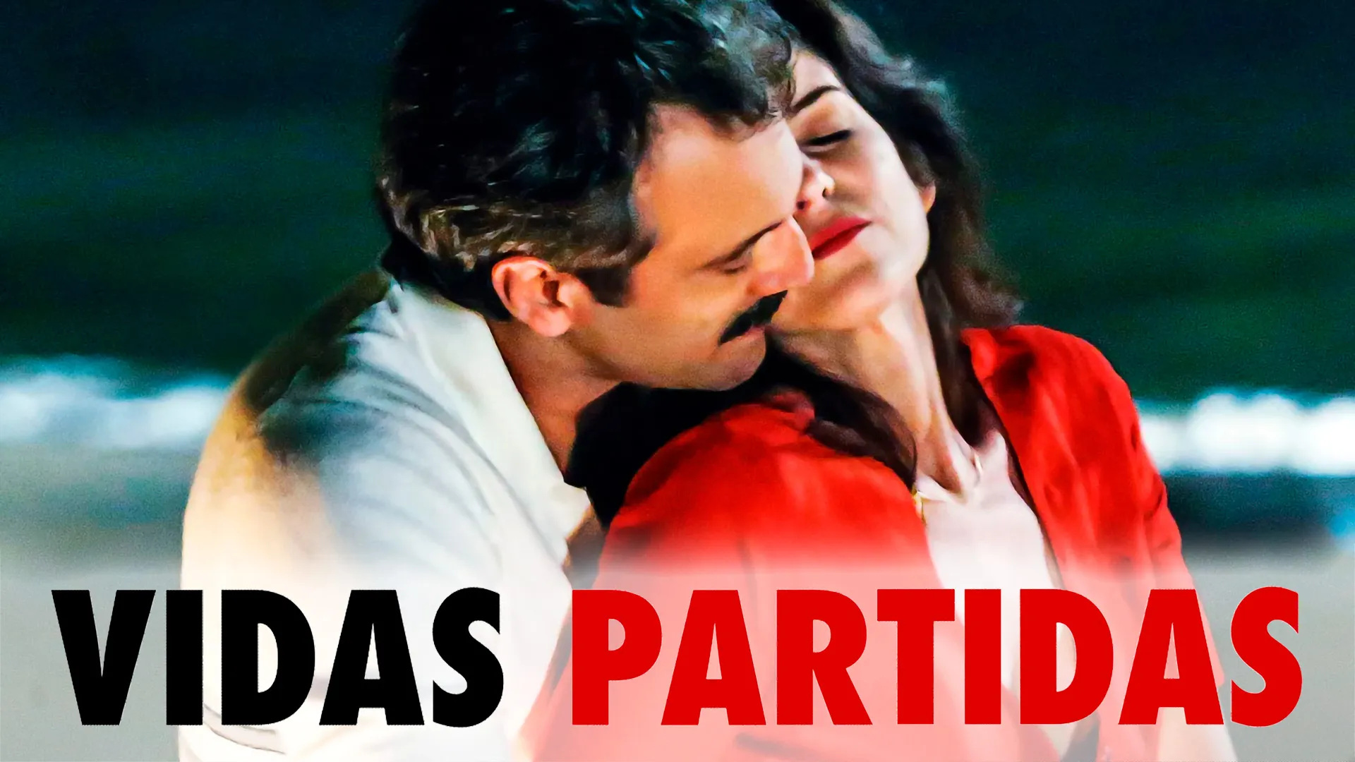 Vidas Partidas