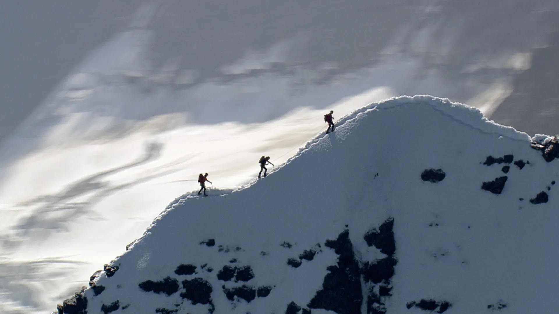 Die Alpen von oben
