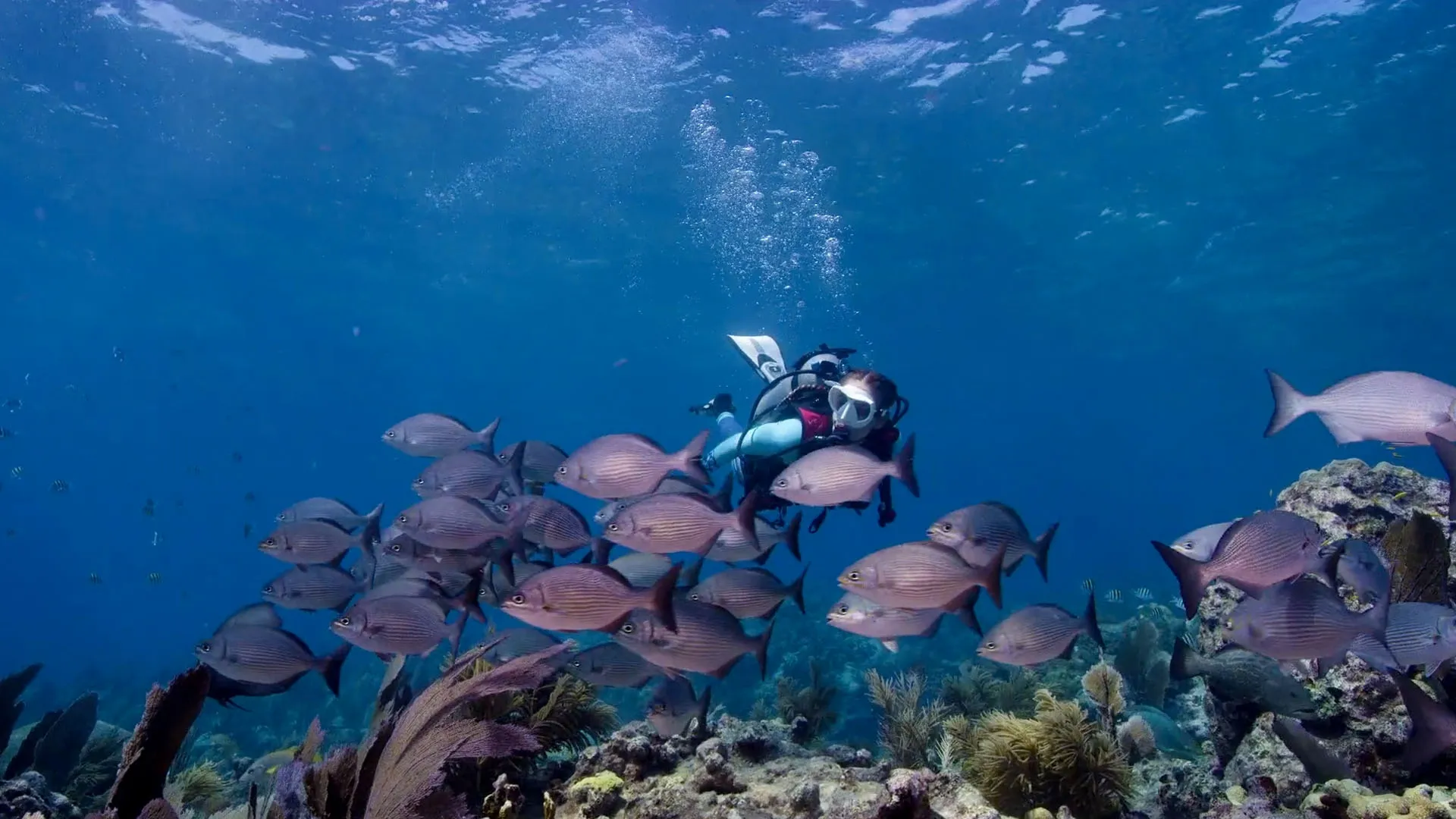 Island Hopping Florida Keys