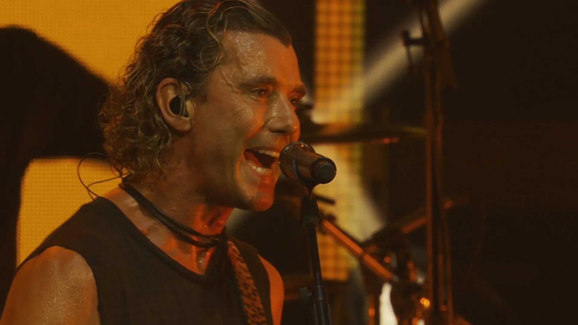 Bush - Live In Tampa
