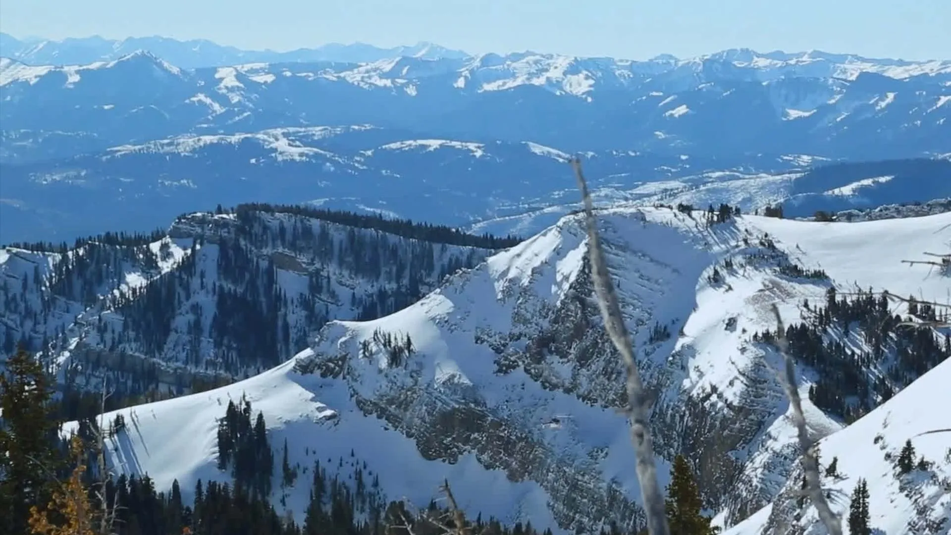Back Country Rescue