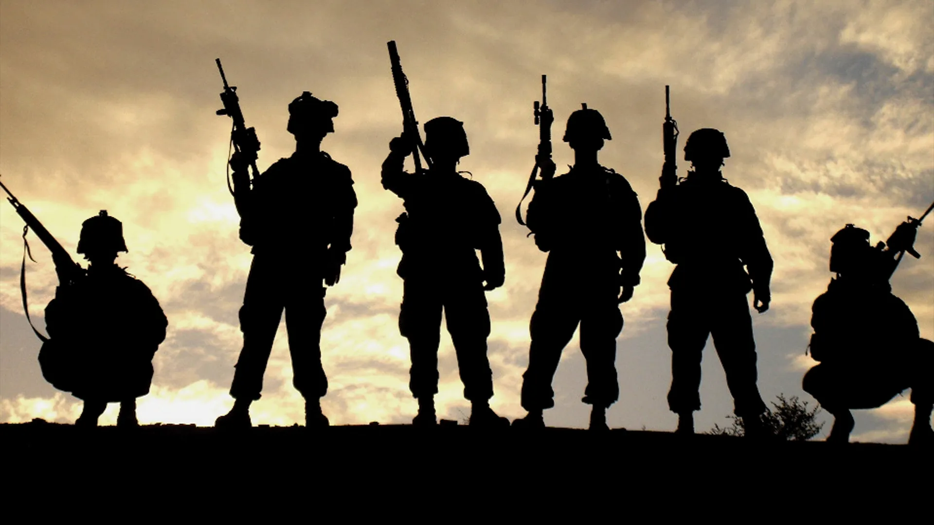 Combat Forces