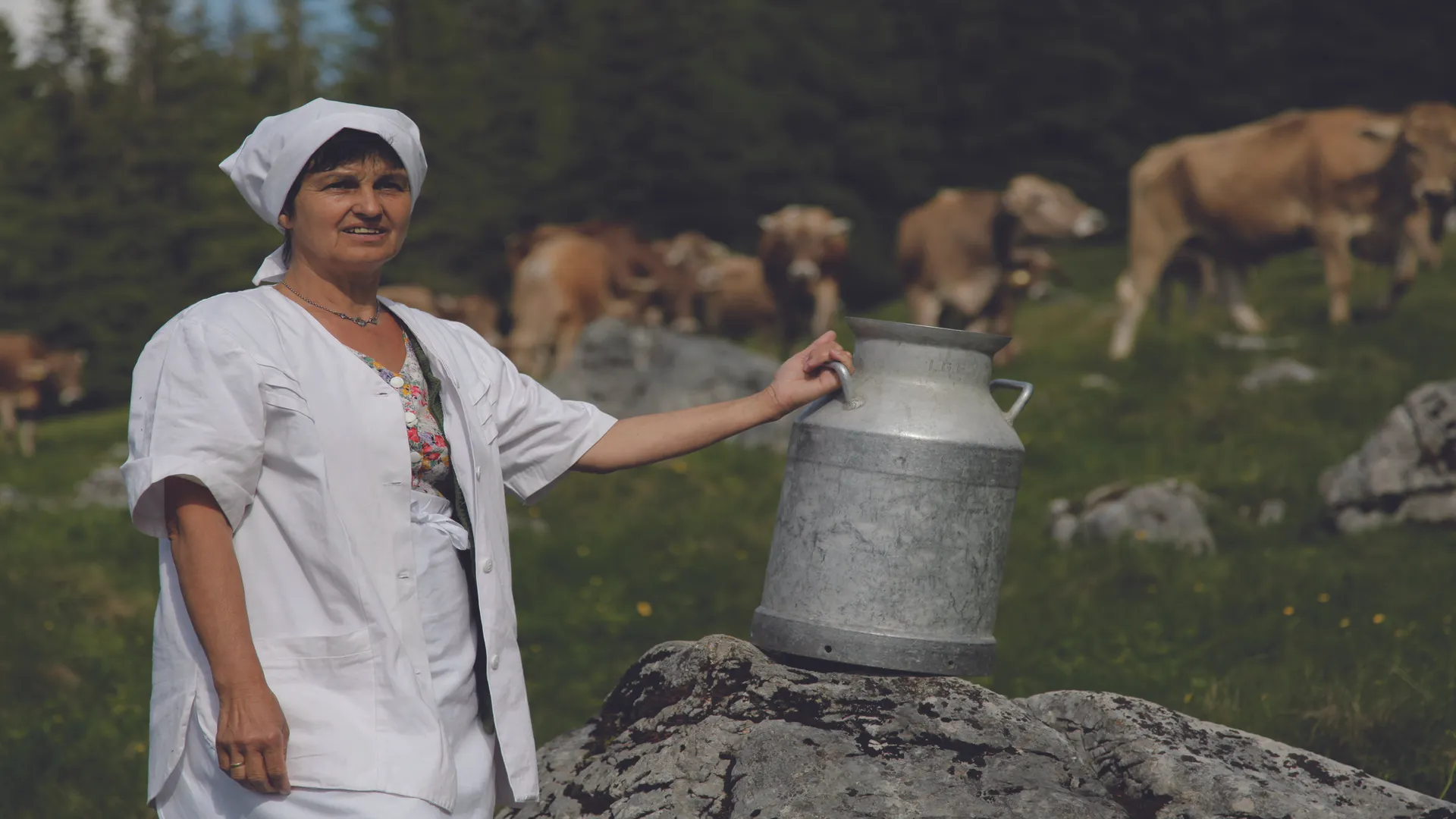 Le Tradizioni Culinarie Del Mondo Alpino