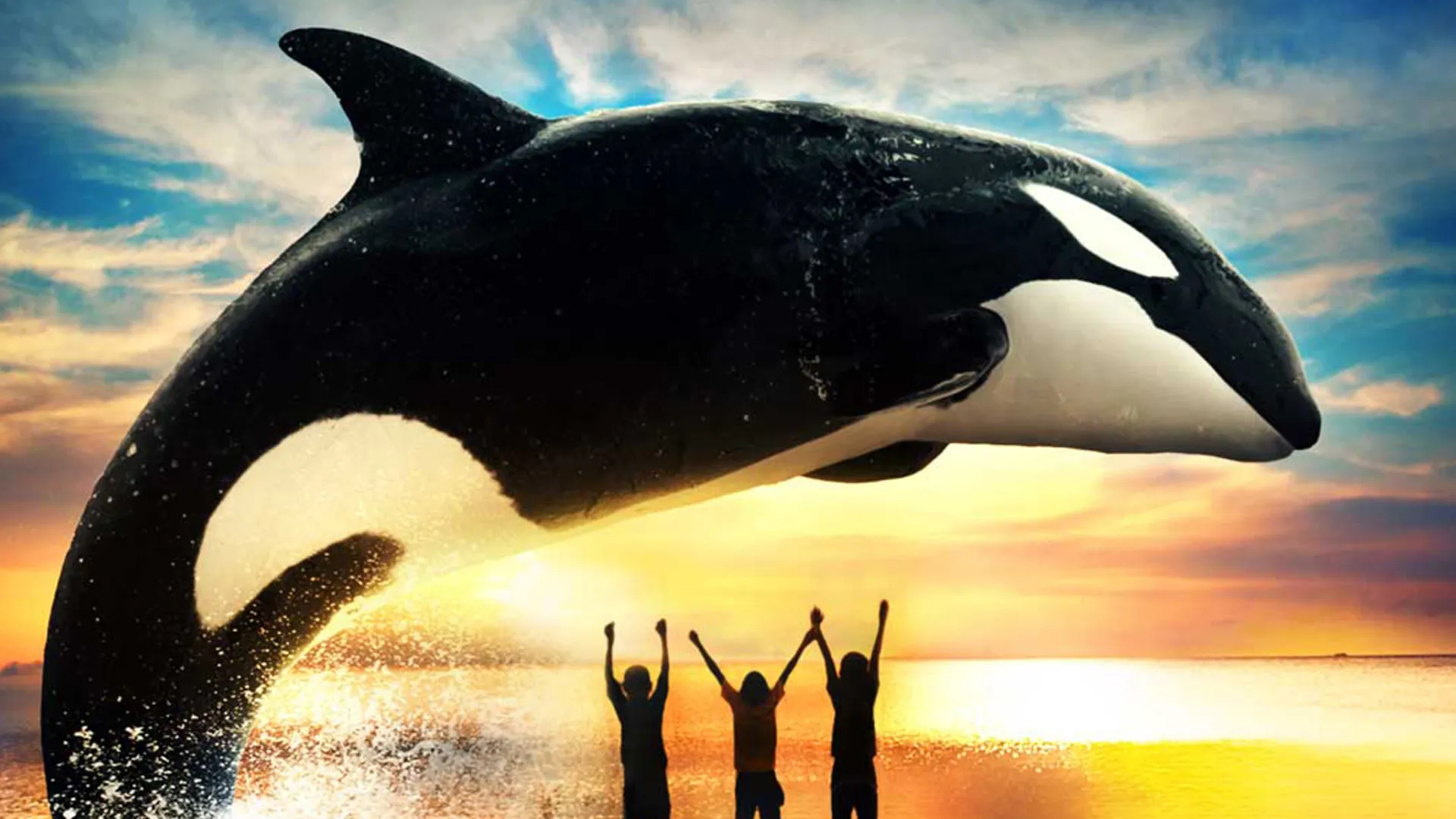 Orca The Journey Home