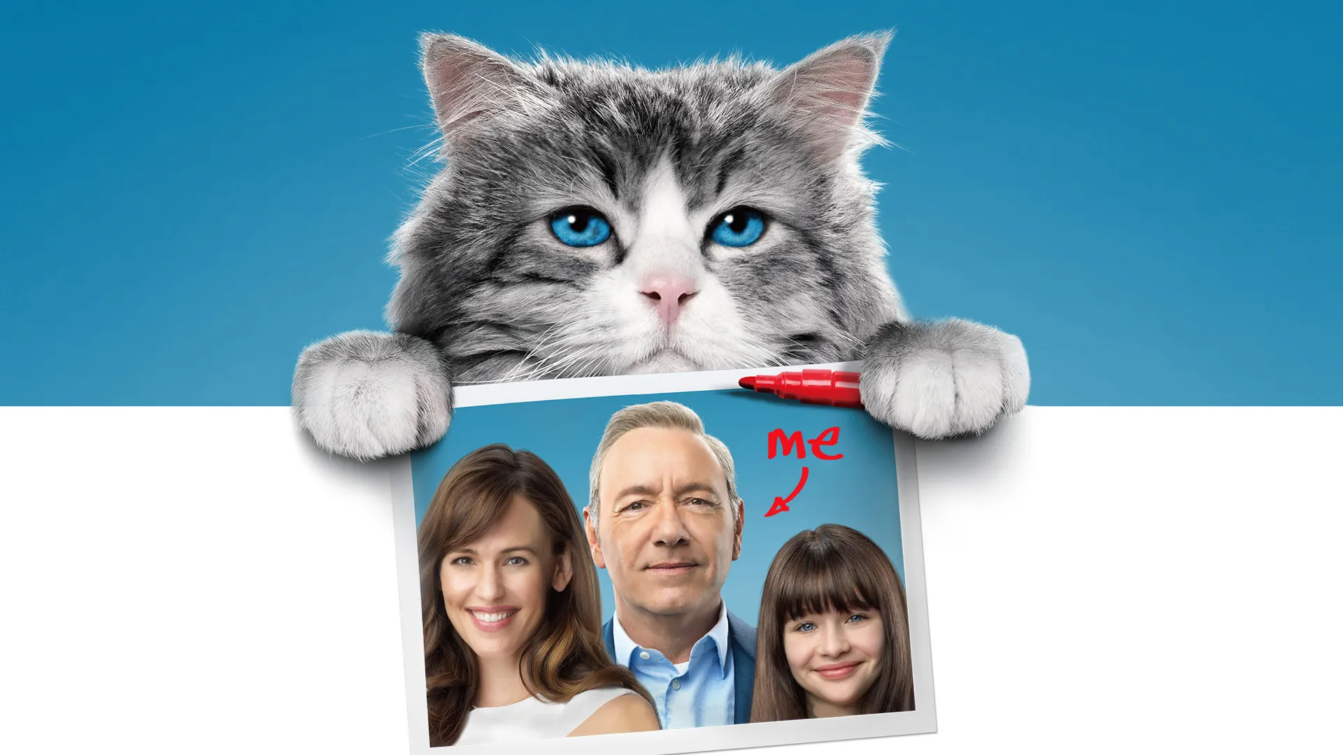 Nine Lives