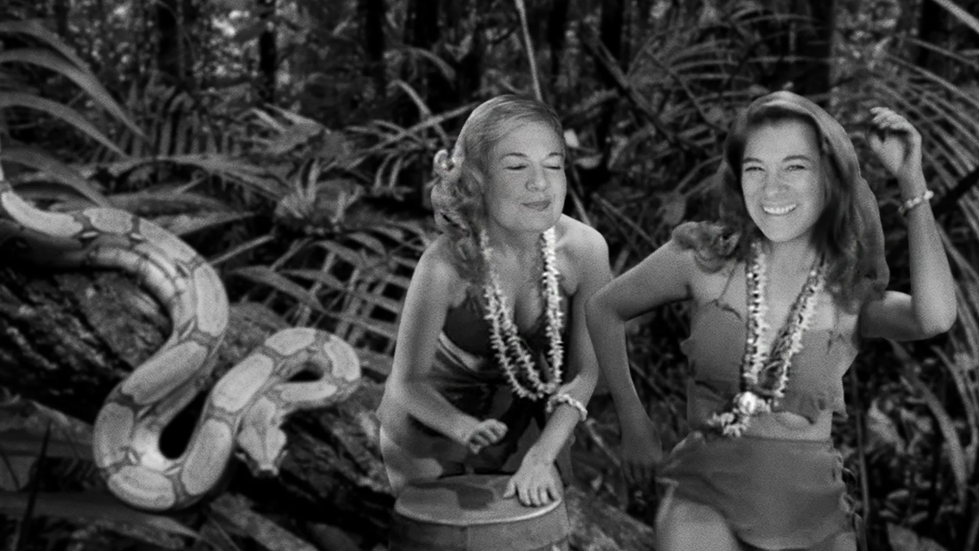 RiffTrax Presents: She Demons