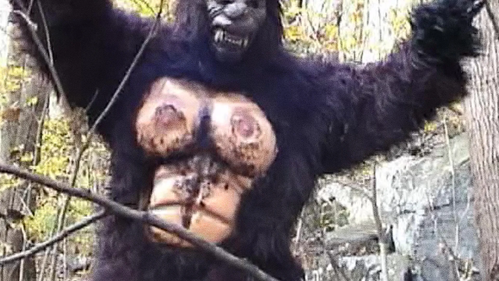RiffTrax: Suburban Sasquatch