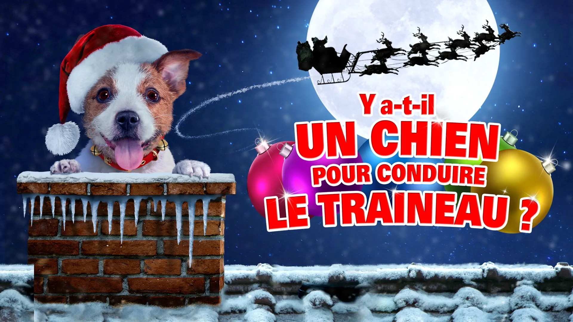 Y a-t-il un chien pour conduire le traineau?
