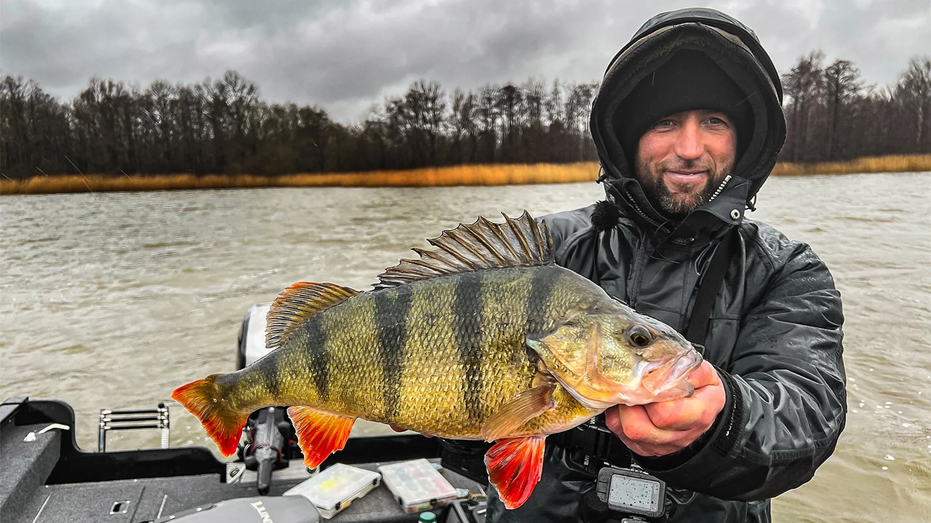 Großbarsche im Winter mit John Chowns