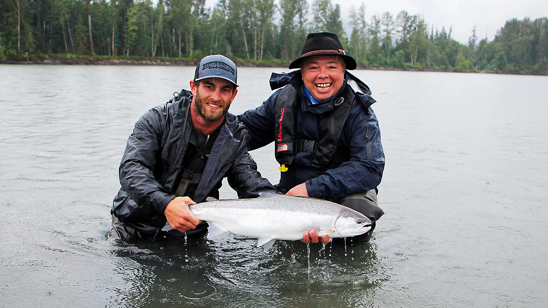 Kampfstarke Steelheads und Lachse am Skeena River in Kanada