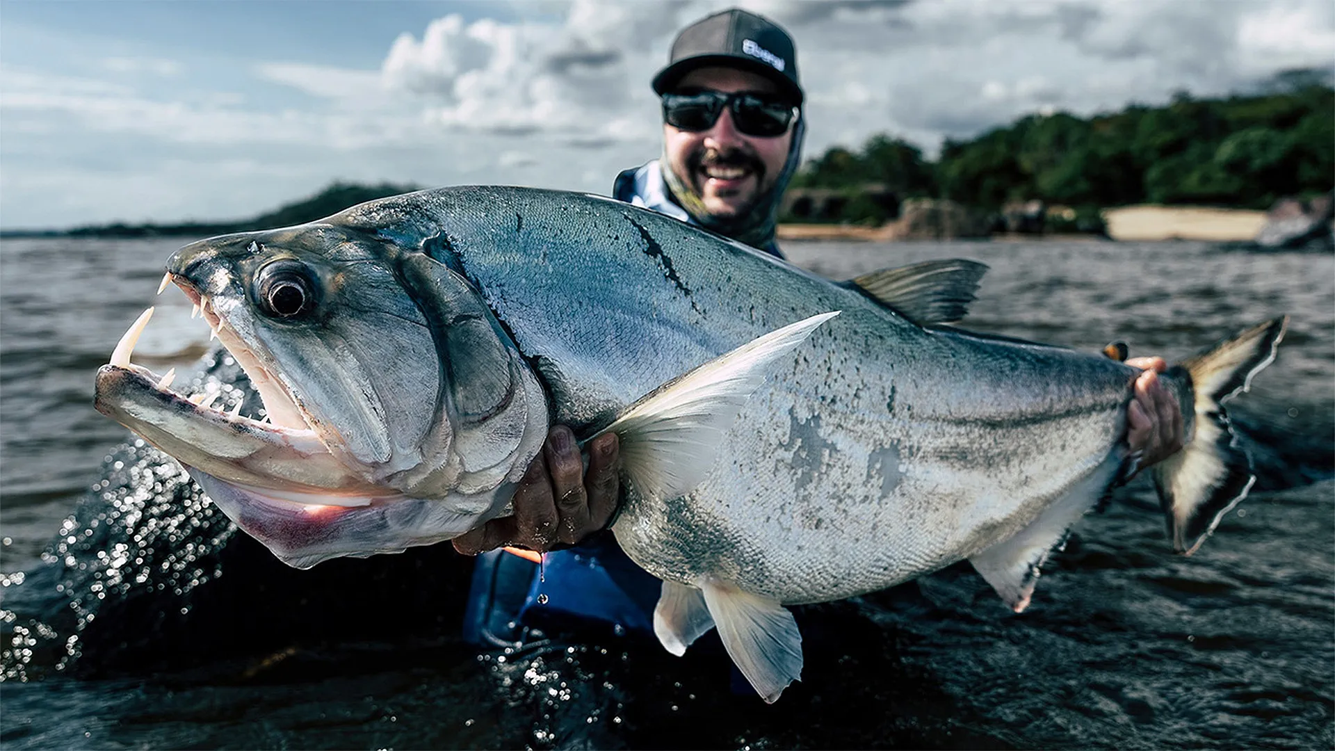 Payara vs. Peacock 2023
