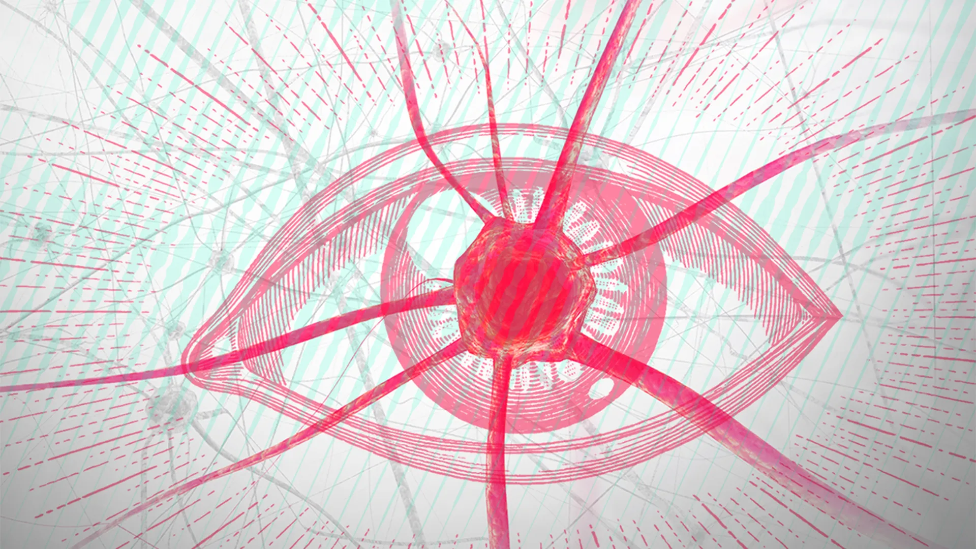 Sight: The Story Of Vision