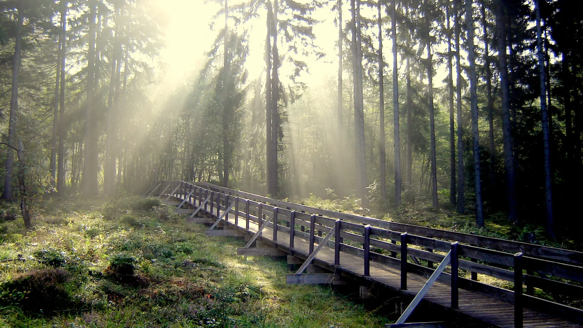 Wanderlust – Europas schönste Wanderwege