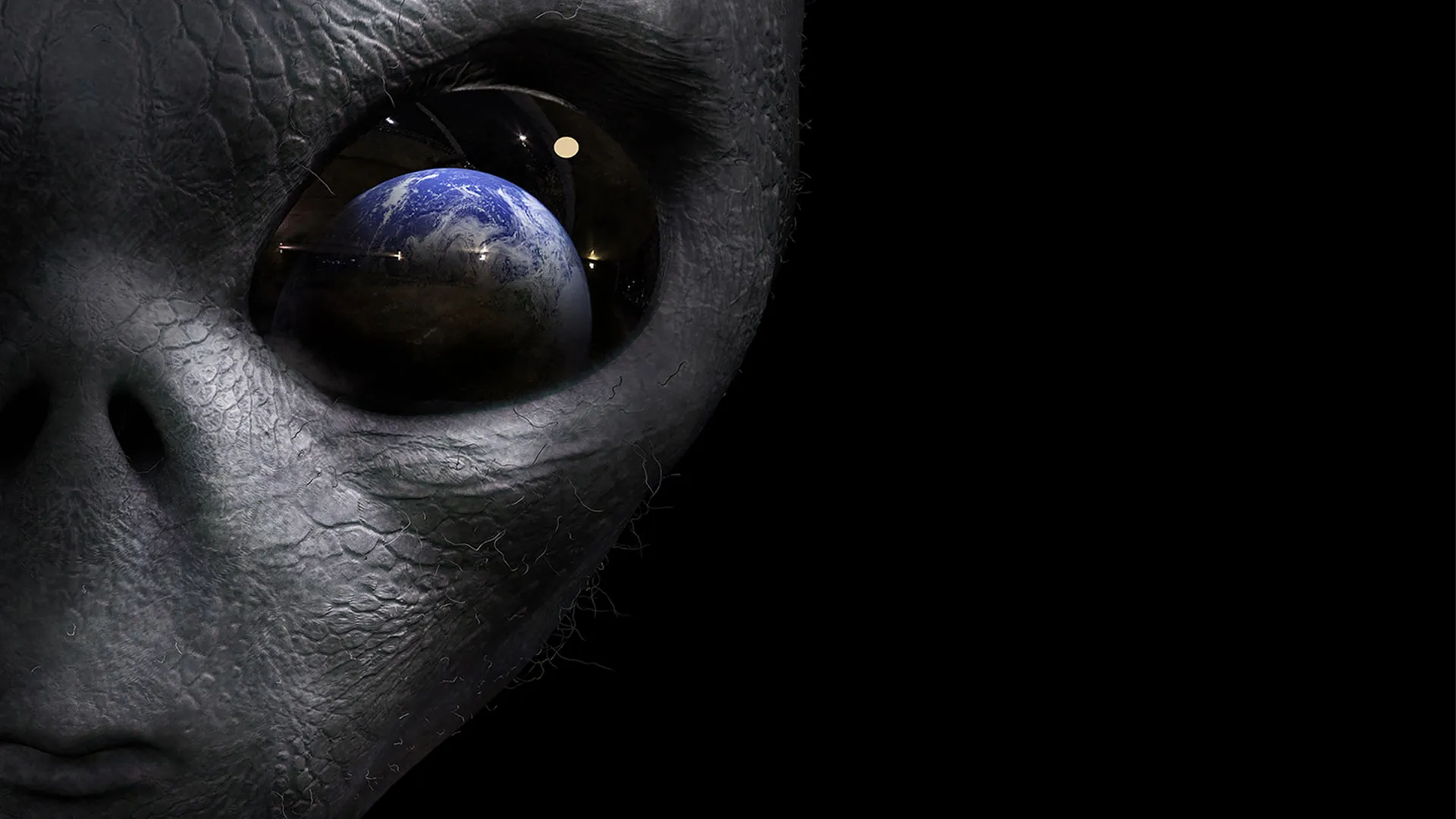 Alien Invasion: Are We Ready?
