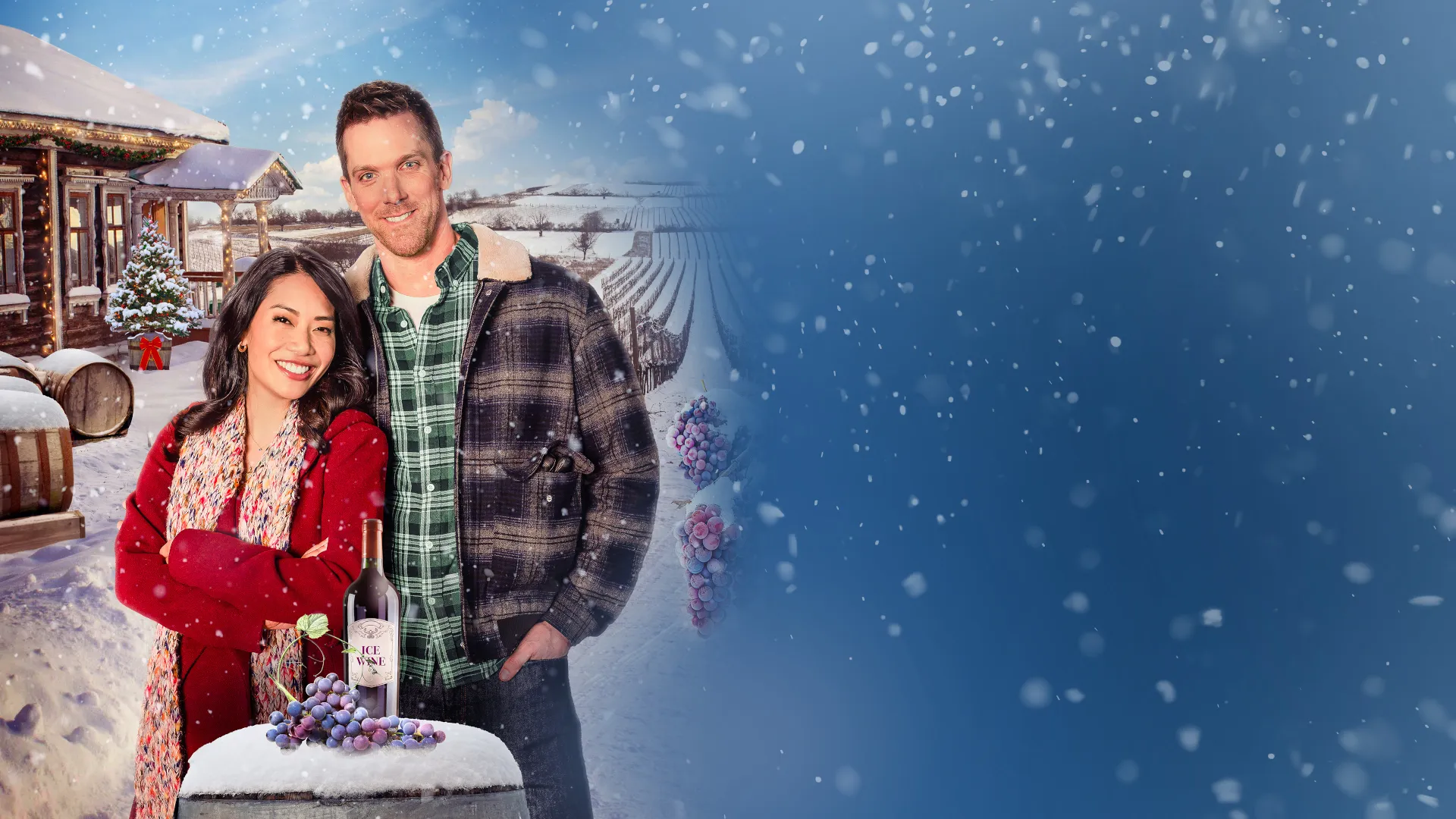 A Vineyard Christmas