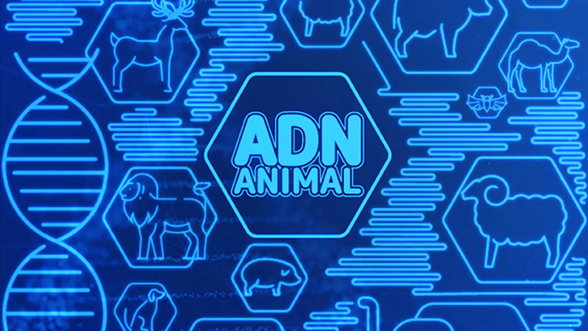 ADN Animal