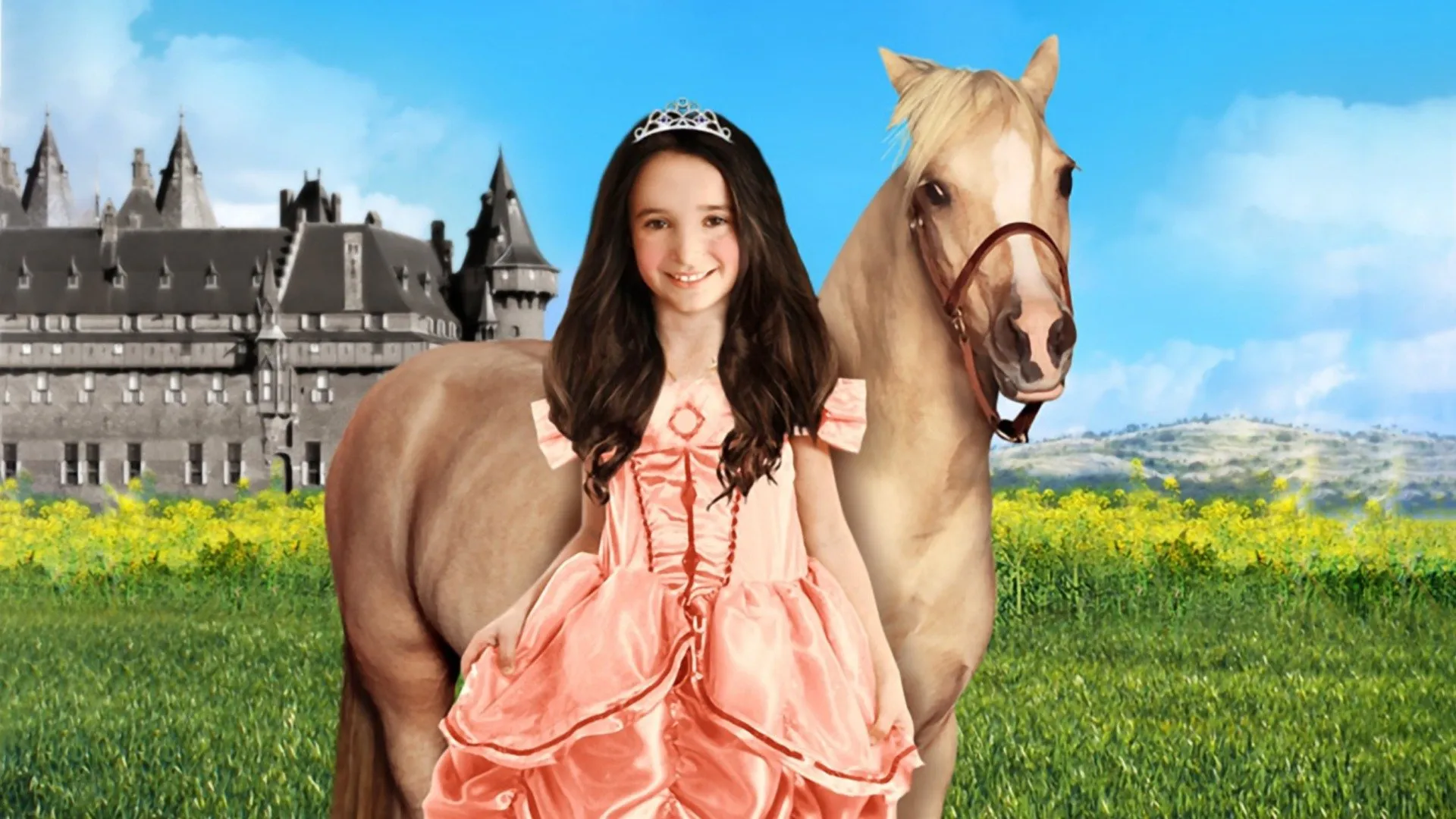 Princess and the Pony