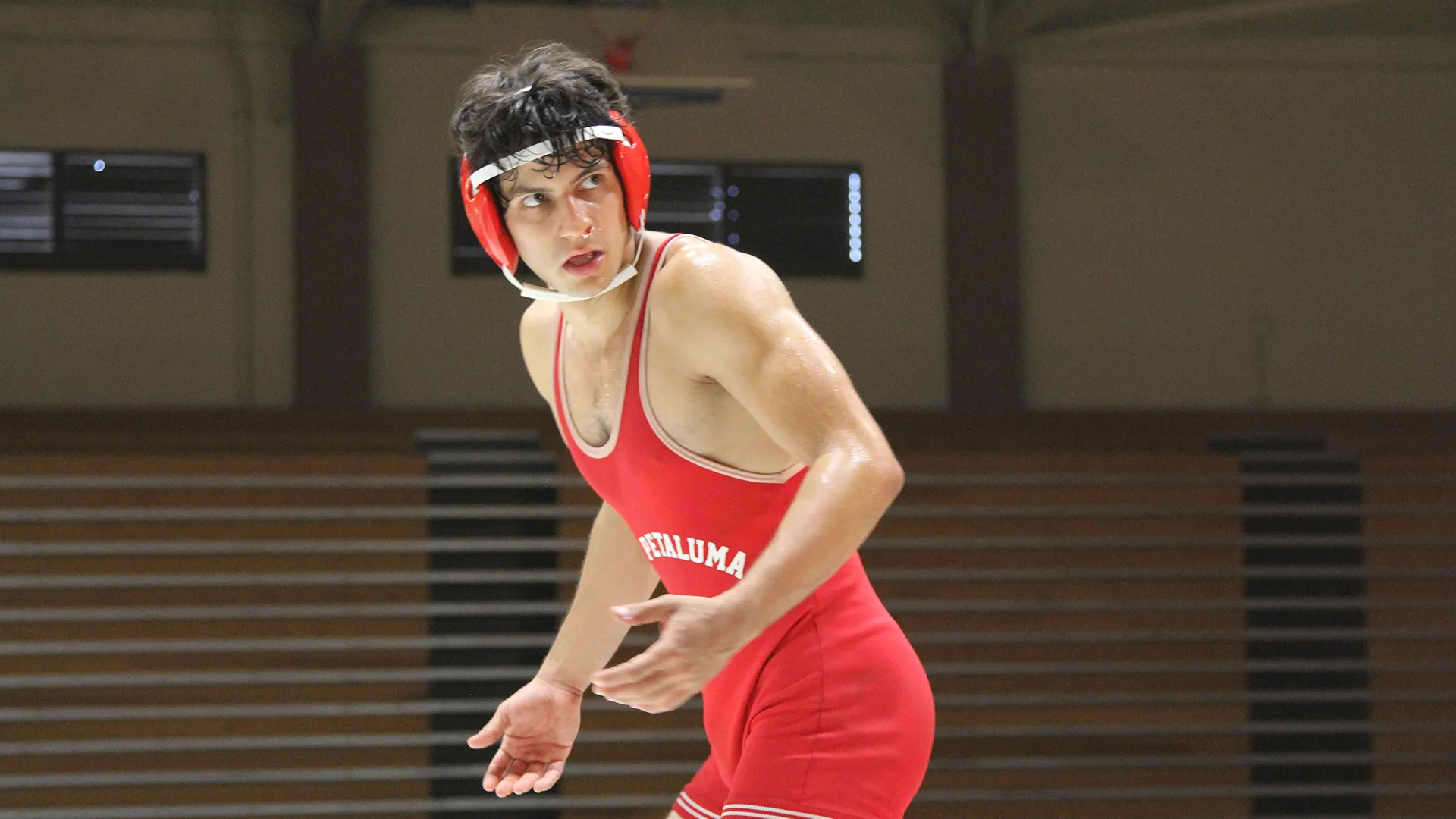 American Wrestler: The Wizard