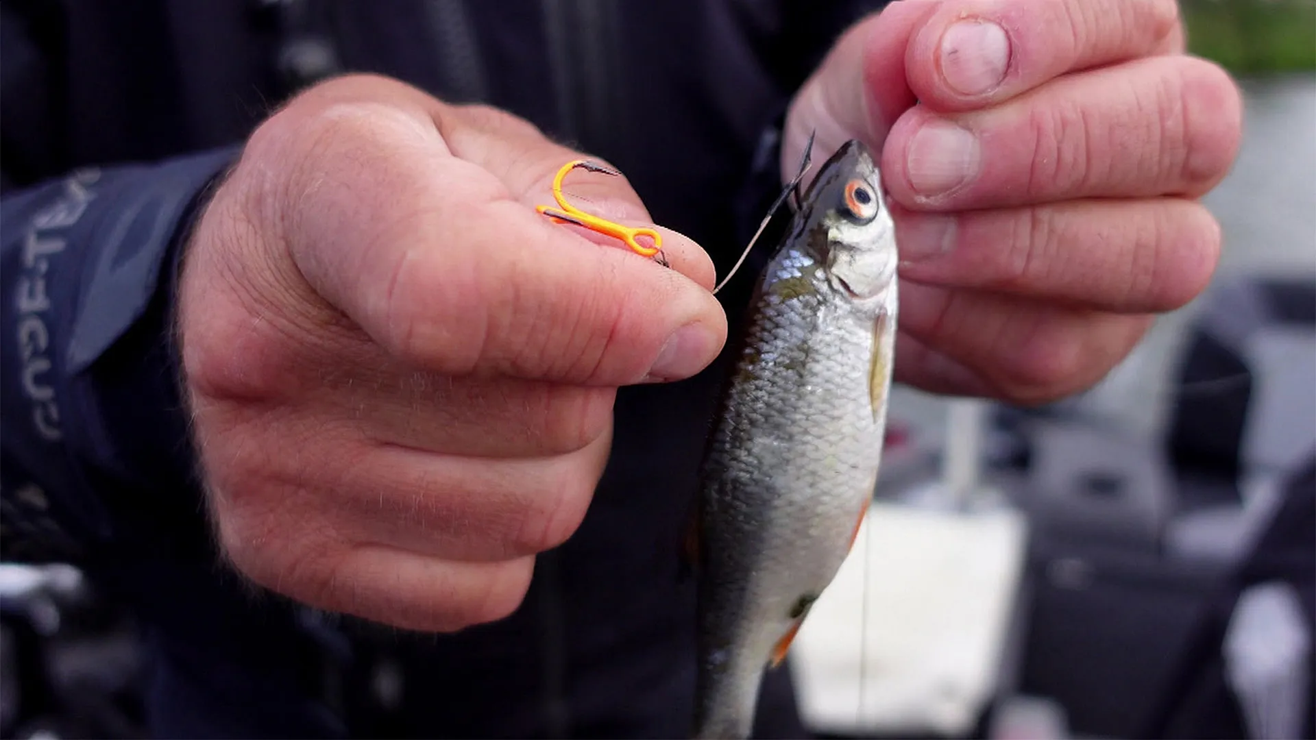 Mit Köderfisch auf Zander und dem Dropshot System