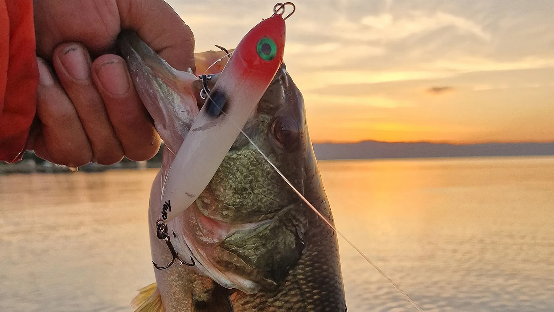 Mission 50er Bass auf Topwater
