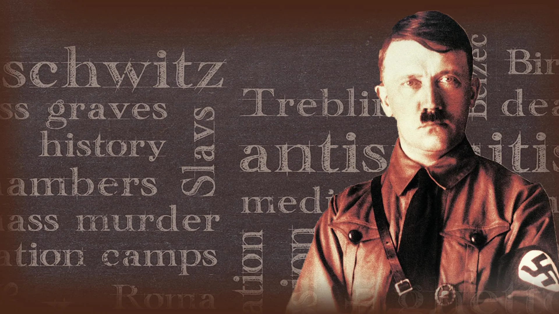 Hitler in His Own Words