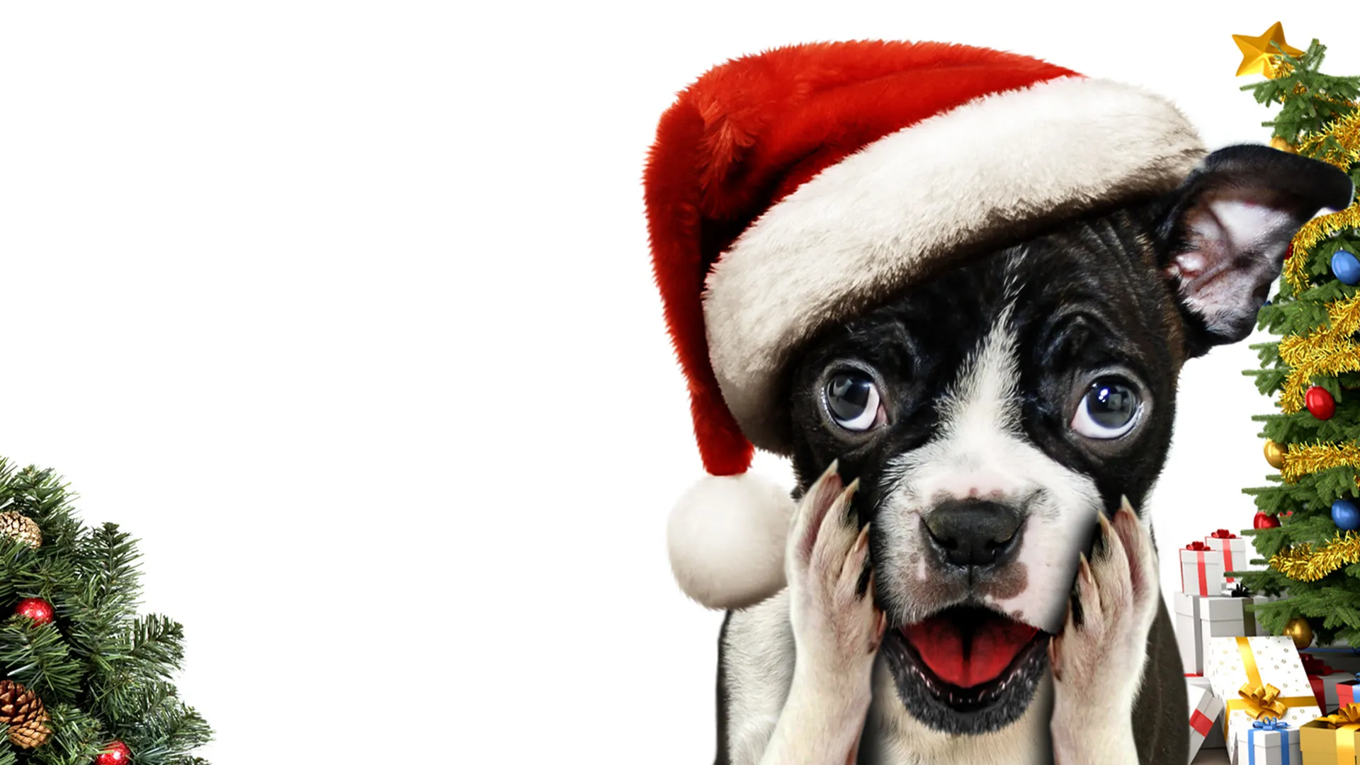 Alone for Christmas