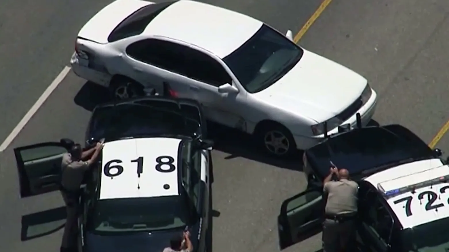 Car Chase - Wild Pursuits: 2013